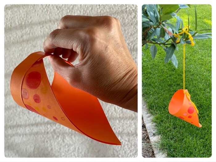 Titelbild zur Bastel- und DIY-Idee für Kinder '(1119) Papierflieger basteln – Ringelflieger basteln in 2 Varianten'