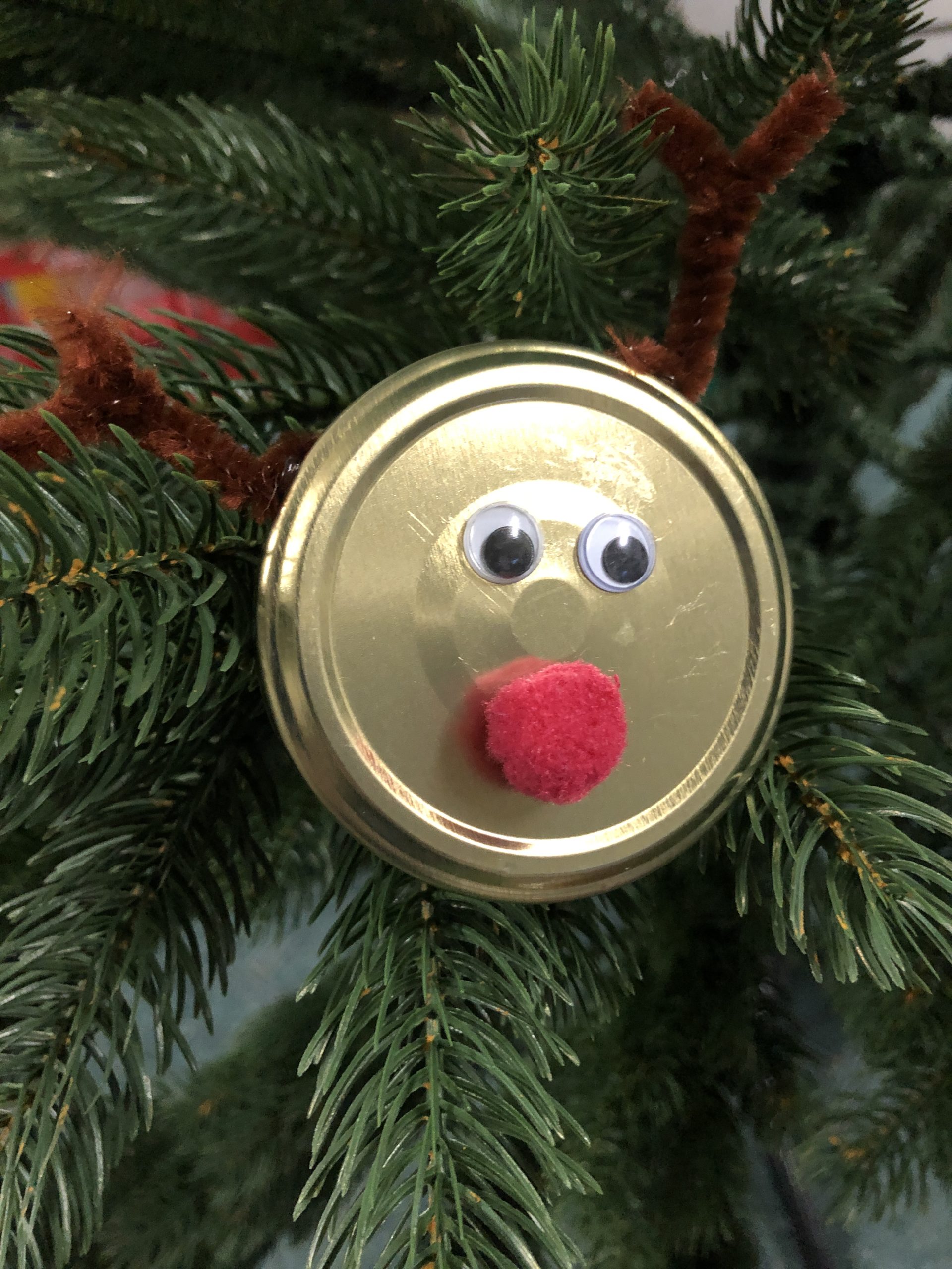 Bild zum Schritt 10 für das Bastel- und DIY-Abenteuer für Kinder: 'Als Schmuck am Weihnachtsbaum, an einem Strauß aus Tannenzweigen oder...'