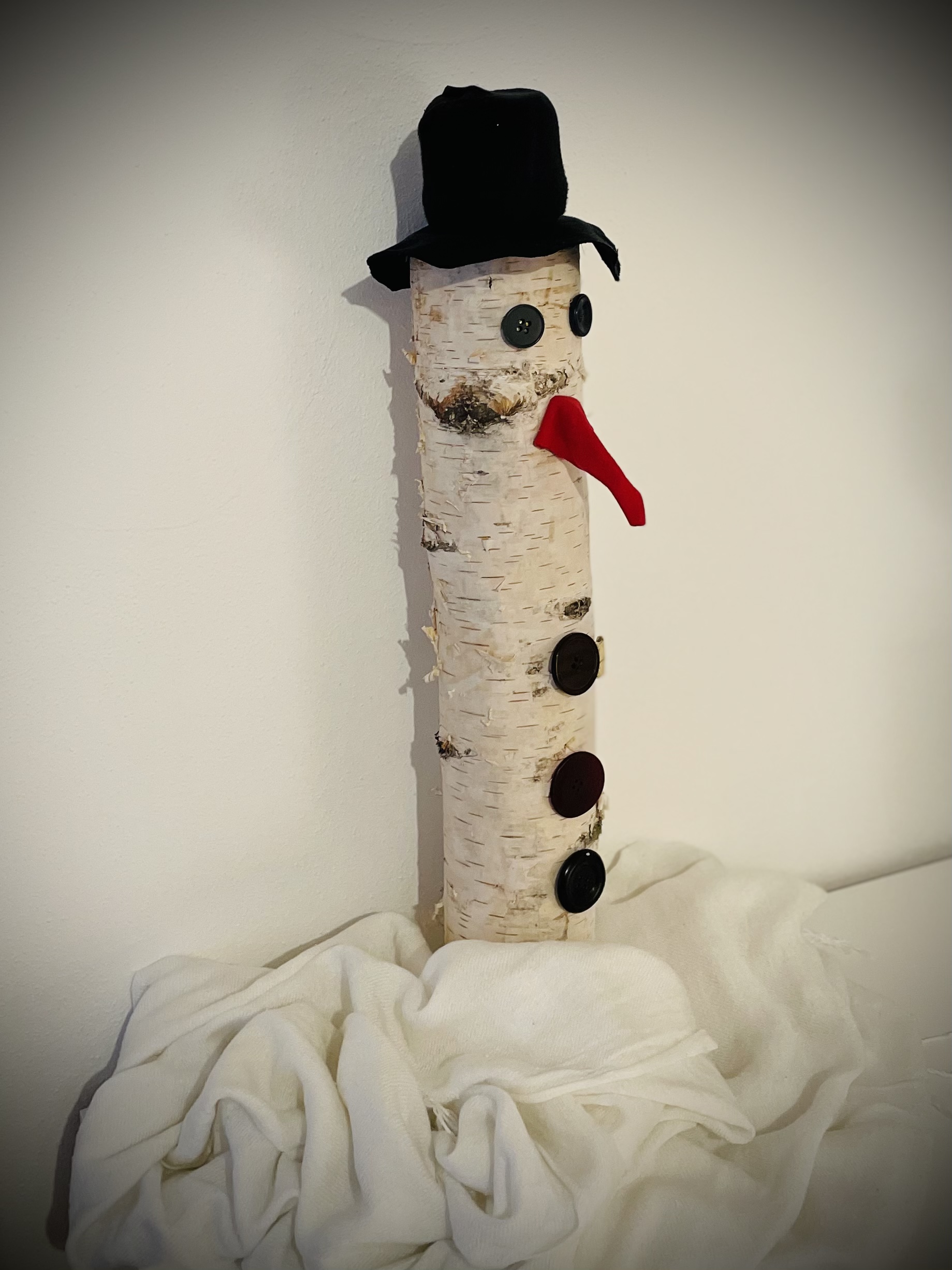 Bild zum Schritt 14 für das Bastel- und DIY-Abenteuer für Kinder: 'Fertig ist der Schneemann.   Sucht euch nun noch...'