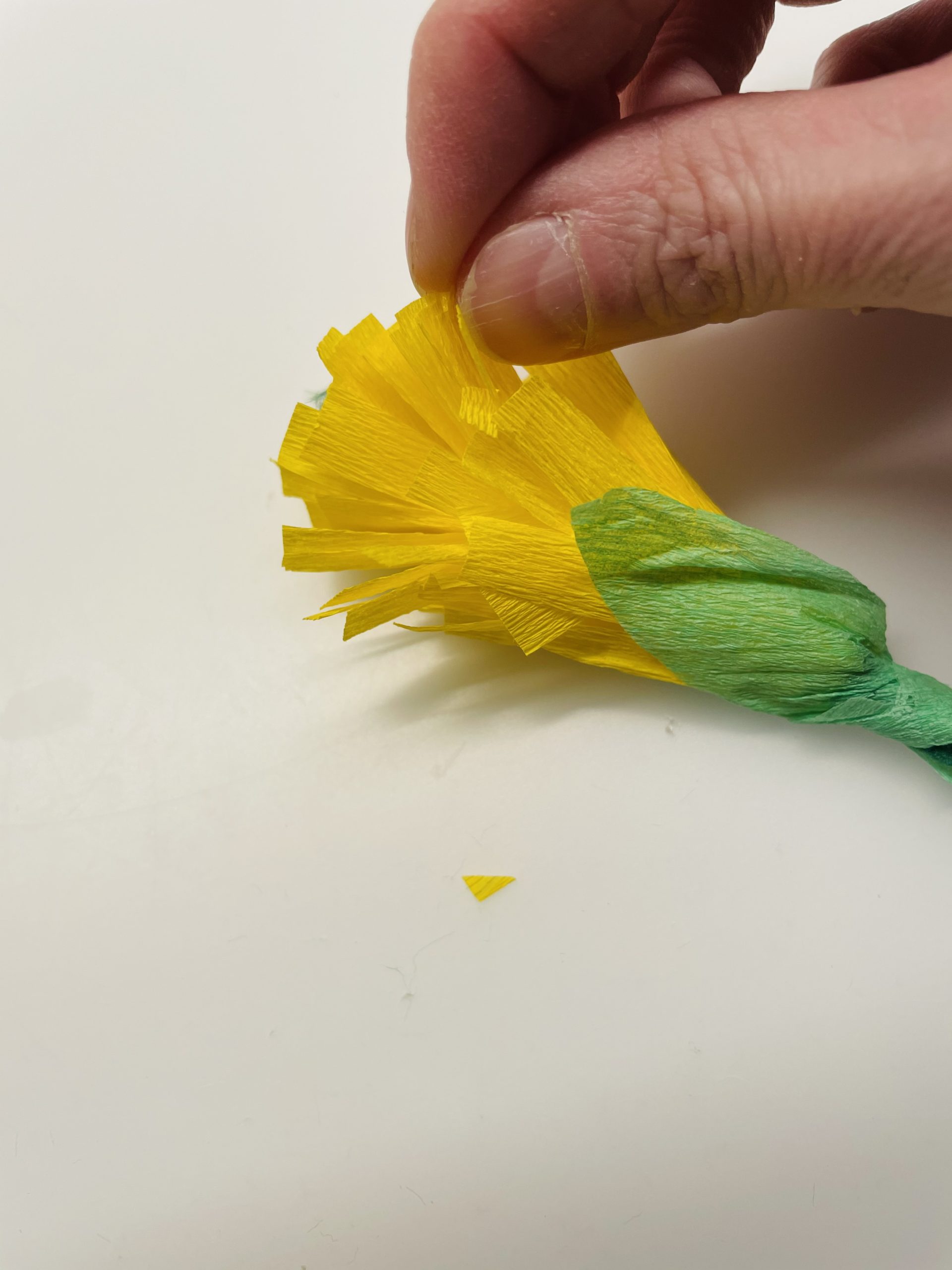 Bild zum Schritt 11 für das Bastel- und DIY-Abenteuer für Kinder: 'Zupft nun mit den Fingern die gelben Zungenblütenblätter vorsichtig etwas...'