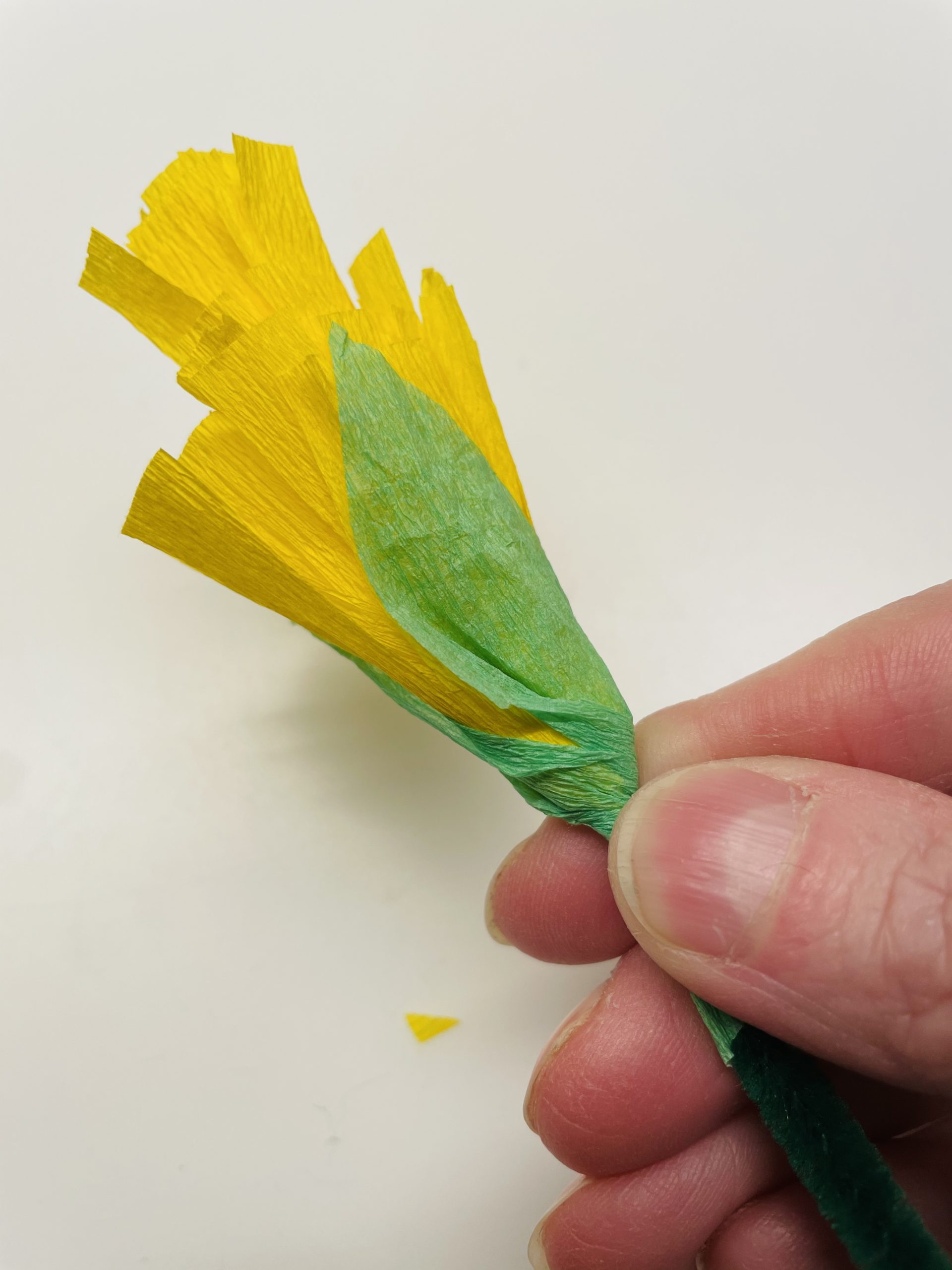Bild zum Schritt 10 für das Bastel- und DIY-Abenteuer für Kinder: 'Wickelt jetzt die Spitzen nach oben um die gelben Zungenblüten....'