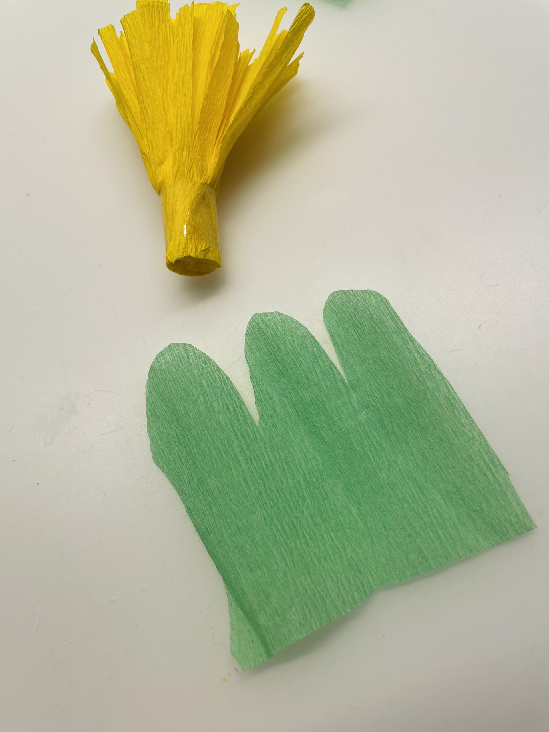 Bild zum Schritt 17 für das Bastel- und DIY-Abenteuer für Kinder: 'Nun schneidet ihr euch aus grünem Krepppapier ein 5 cm...'