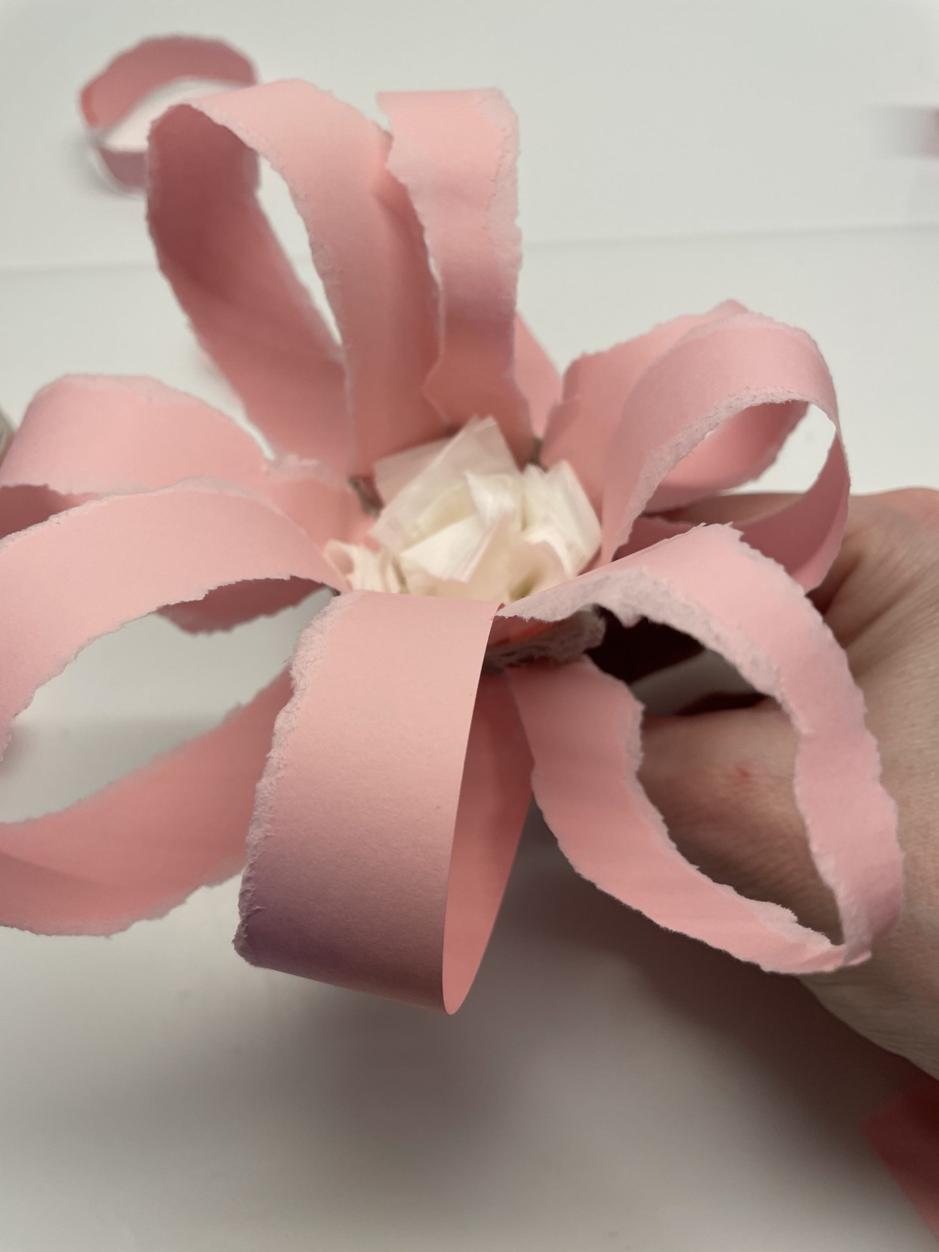 Bild zum Schritt 2 für das Bastel- und DIY-Abenteuer für Kinder: 'Bastelt euch diese "Gerissene Papier-Blume aus Eierkarton" bis...'
