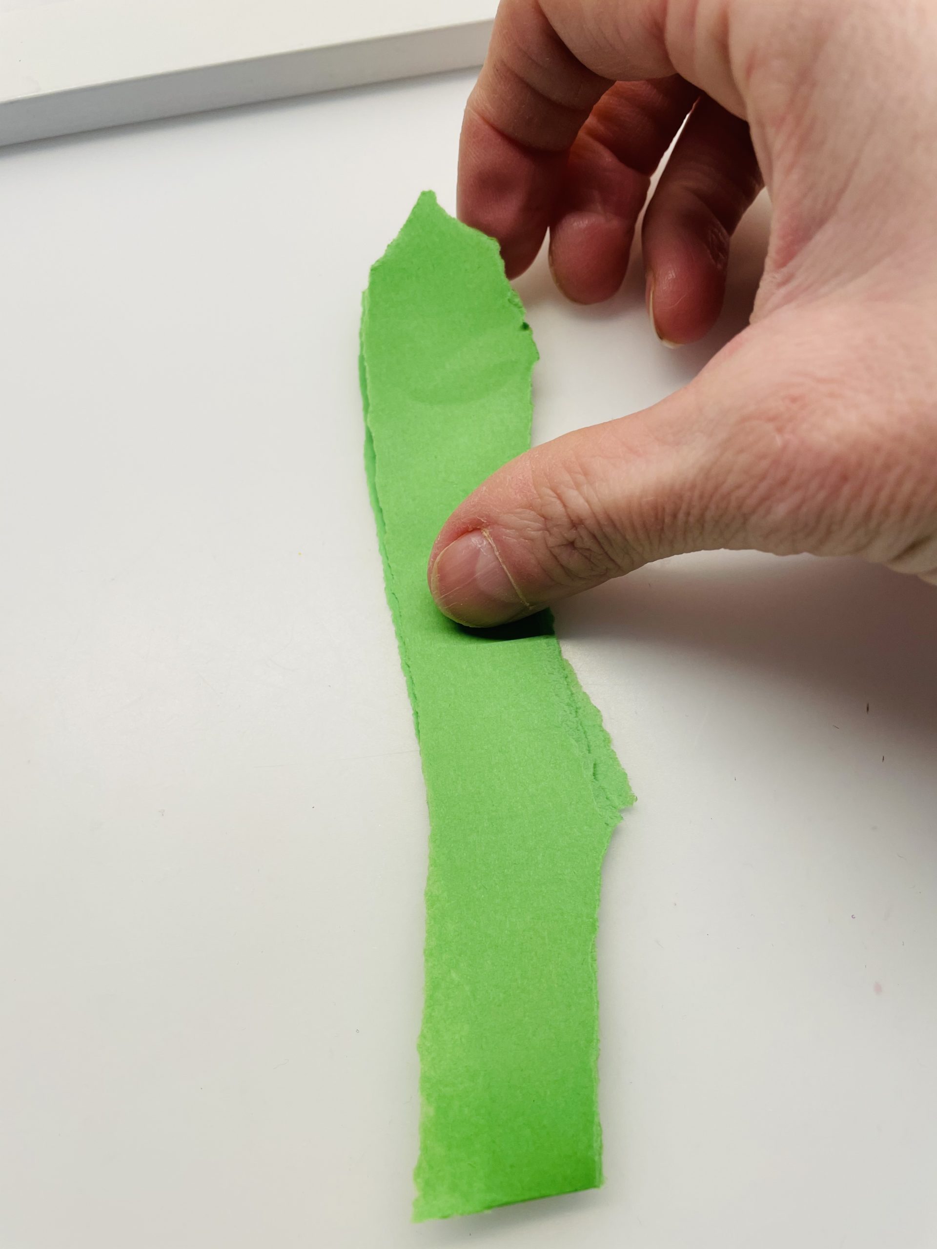 Bild zum Schritt 9 für das Bastel- und DIY-Abenteuer für Kinder: 'Klappt nun das grüne Papier in der Mitte zusammen. Es...'