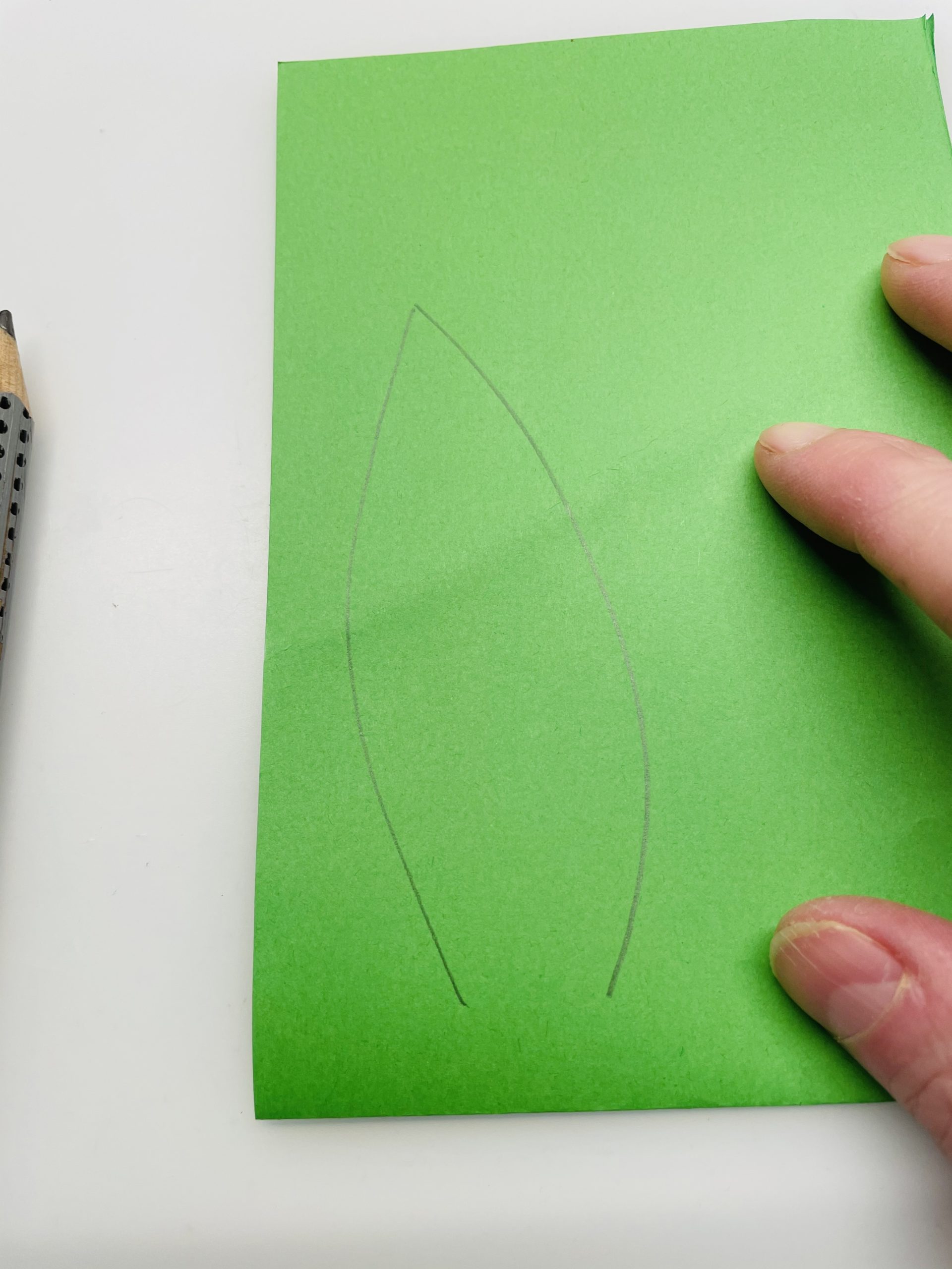 Bild zum Schritt 25 für das Bastel- und DIY-Abenteuer für Kinder: 'Malt euch die Form eines Blattes auf. Der Bruch der...'