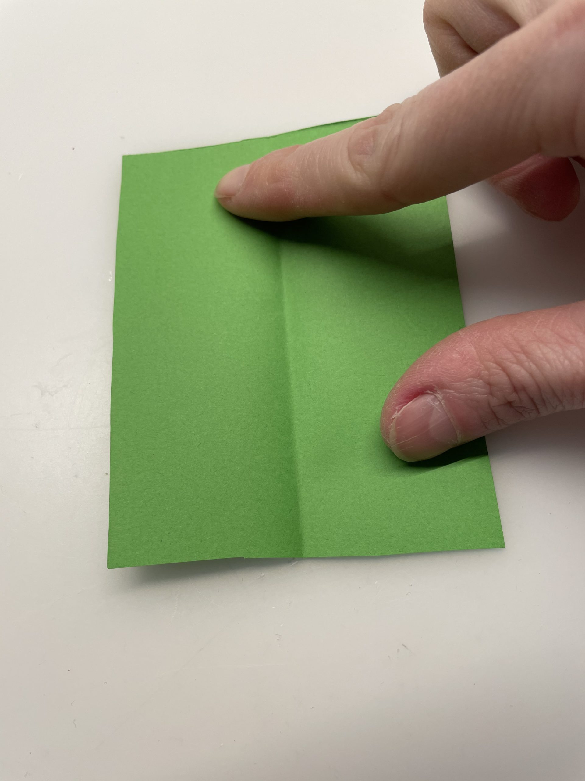 Bild zum Schritt 29 für die Kinder-Beschäftigung: 'Aus grünem Papier könnt ihr jetzt noch ein paar Blätter...'