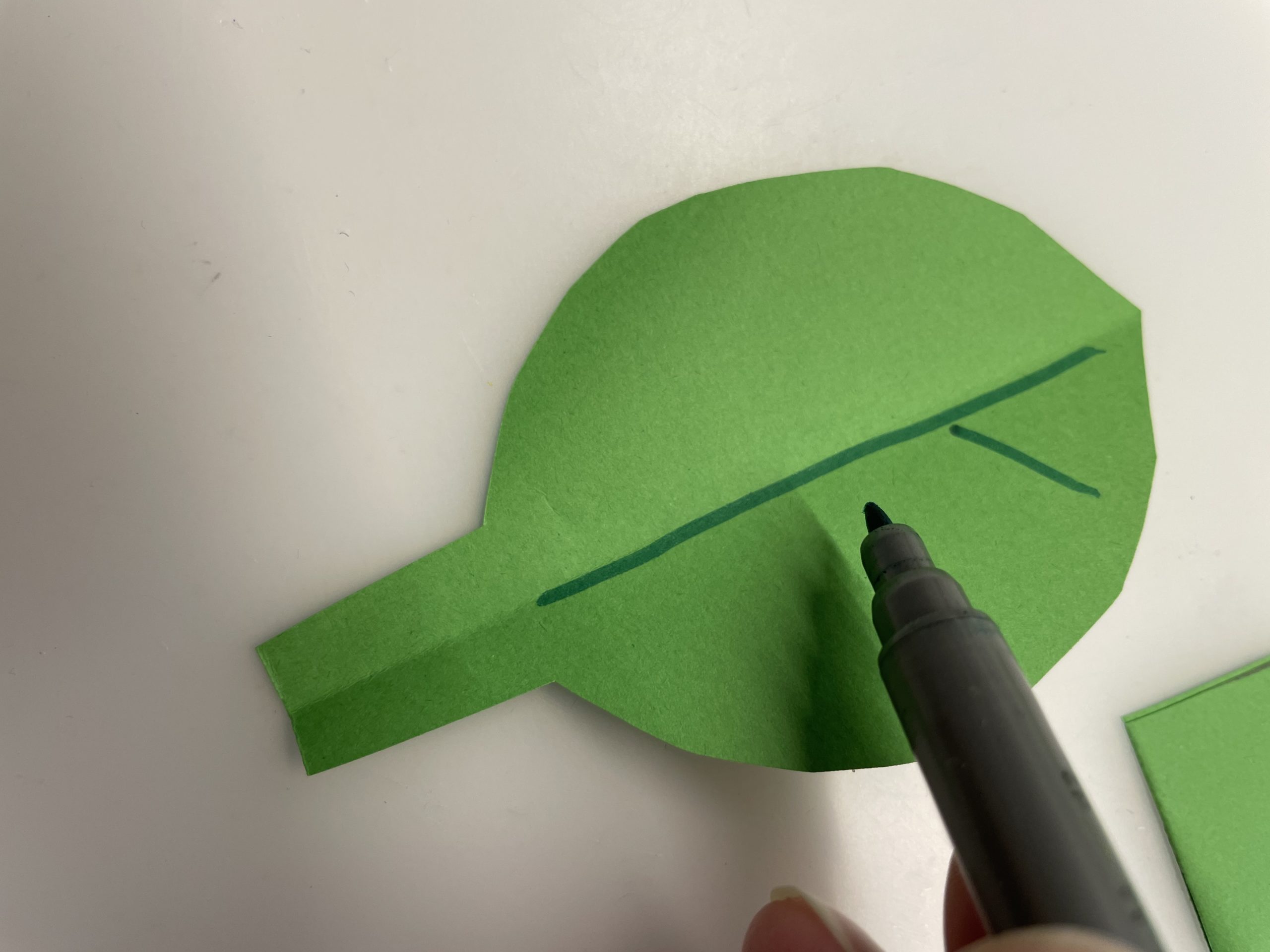 Bild zum Schritt 33 für das Bastel- und DIY-Abenteuer für Kinder: 'Jetzt malt ihr mit grünem Filzstift die Adern auf das...'