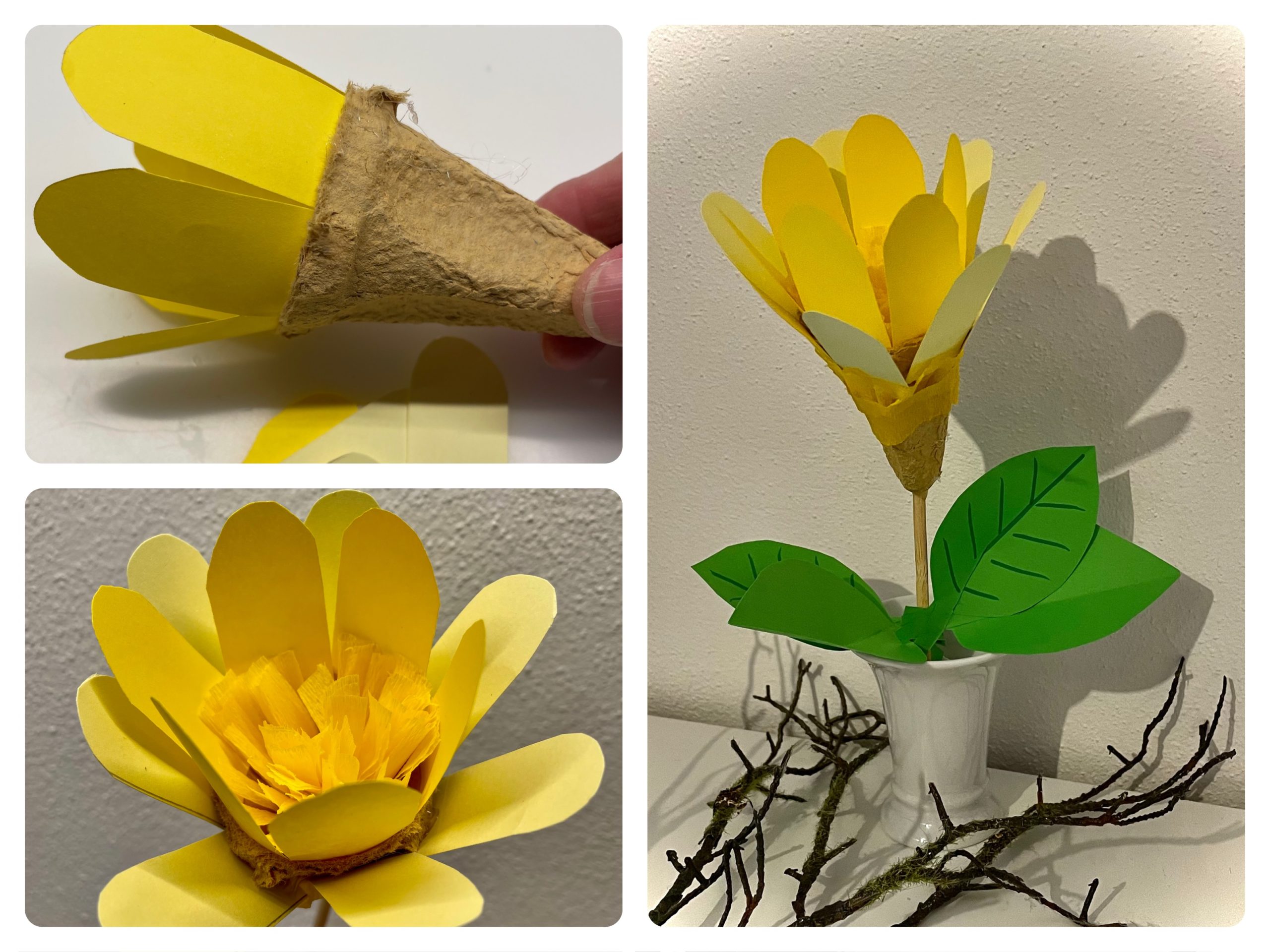 Bild zum Schritt 3 für das Bastel- und DIY-Abenteuer für Kinder: 'Bunte Blume mit Krepppapier-Franzen'