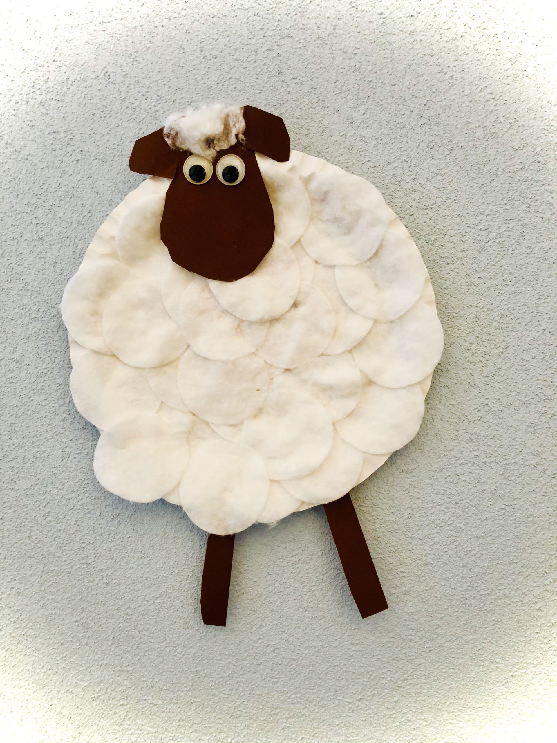 Bild zum Schritt 14 für das Bastel- und DIY-Abenteuer für Kinder: 'Fertig ist das Schaf!'