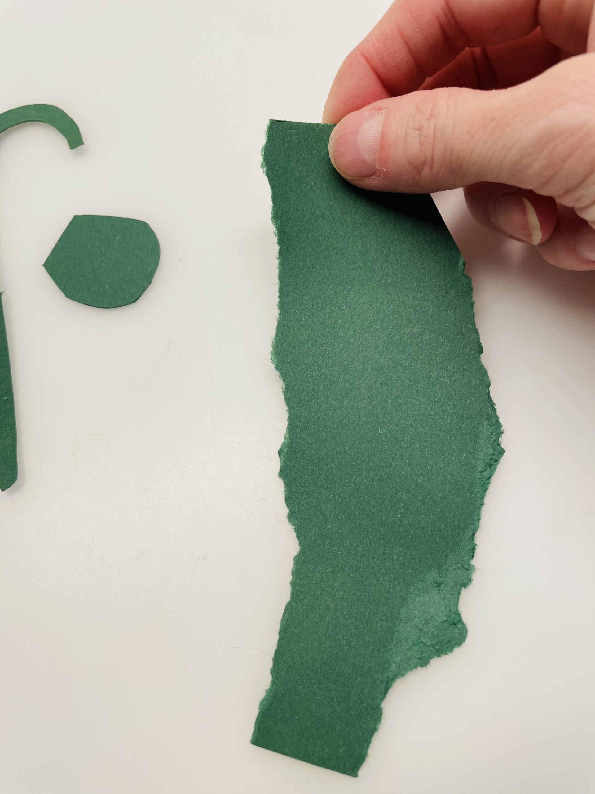 Bild zum Schritt 17 für das Bastel- und DIY-Abenteuer für Kinder: 'Aus einem Reststück von grünem Tonpapier könnt ihr euch nun...'