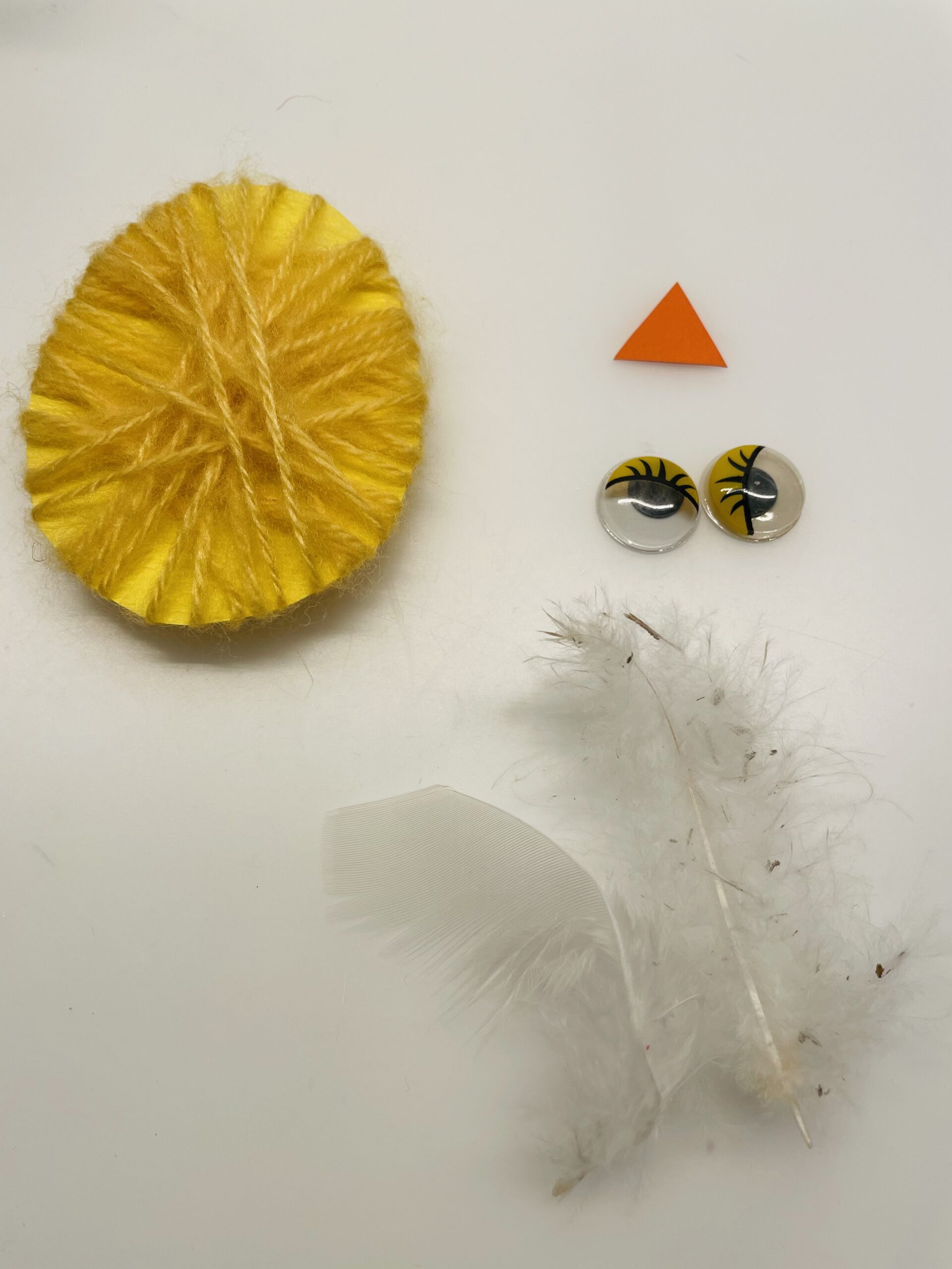 Bild zum Schritt 7 für das Bastel- und DIY-Abenteuer für Kinder: 'Legt eure Wackelaugen, ein kleines oranges Dreieck und zwei Federn...'