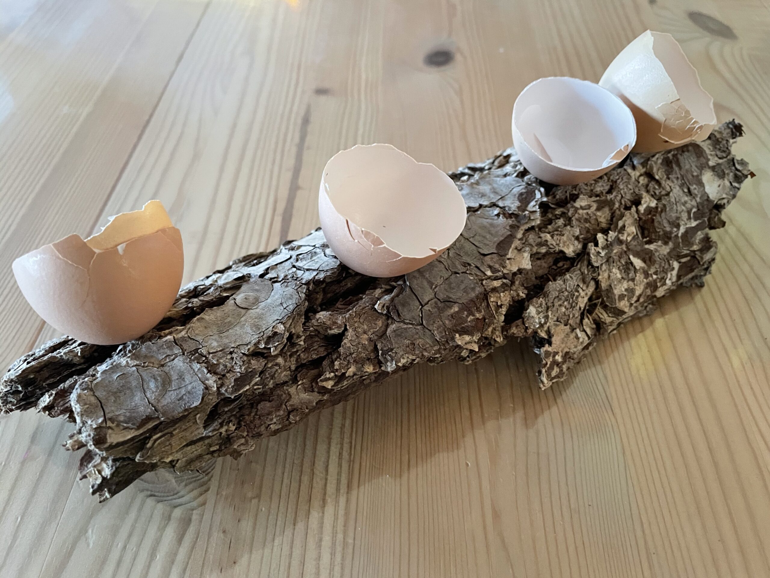 Bild zum Schritt 4 für die Kinder-Beschäftigung: 'Ordnet jetzt die Eierschalen auf der Baumrinde an.'