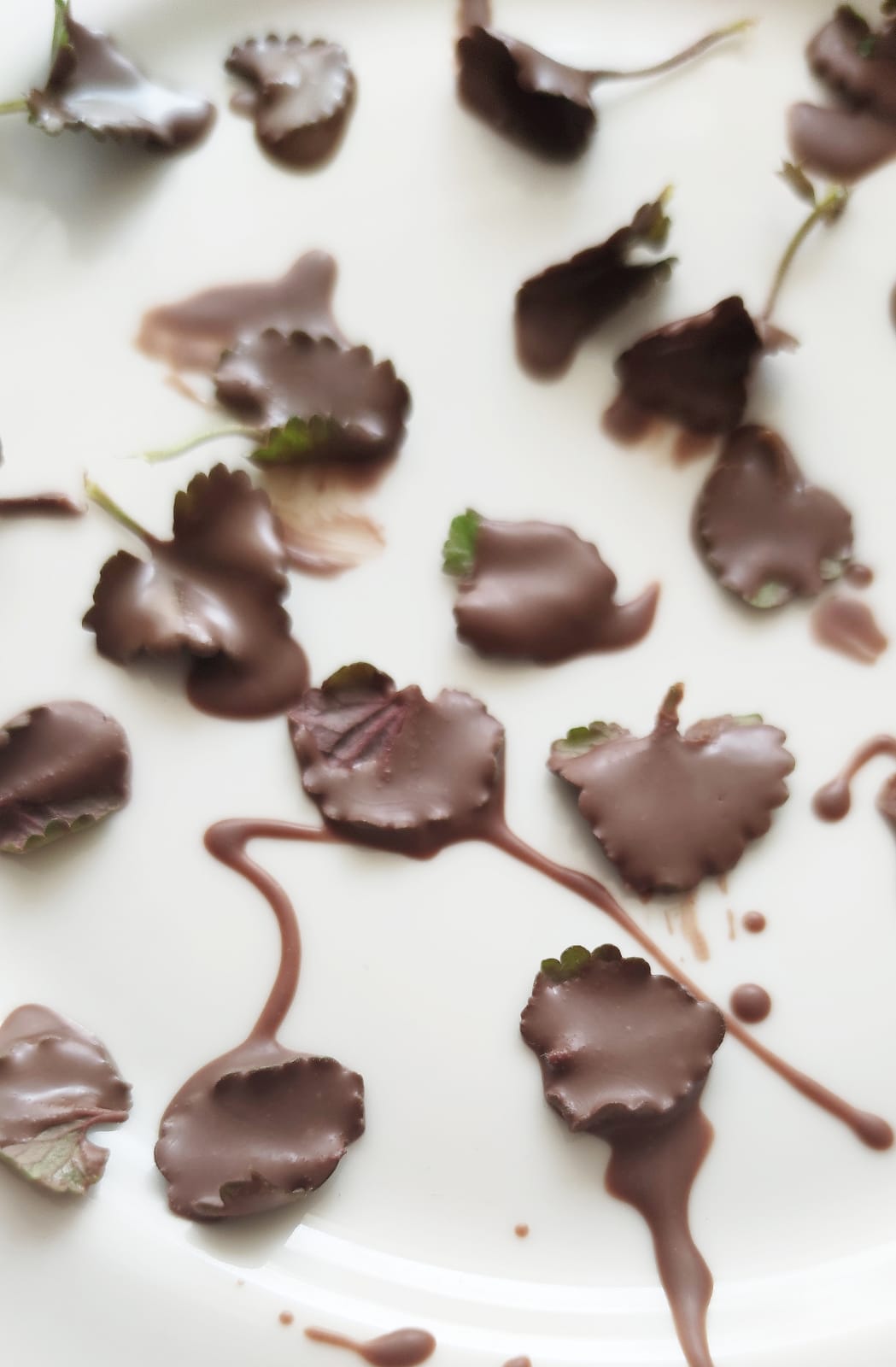 Bild zum Schritt 6 für das Bastel- und DIY-Abenteuer für Kinder: 'Legt die Schokoladen Blätter anschließend auf einen Teller und lasst...'
