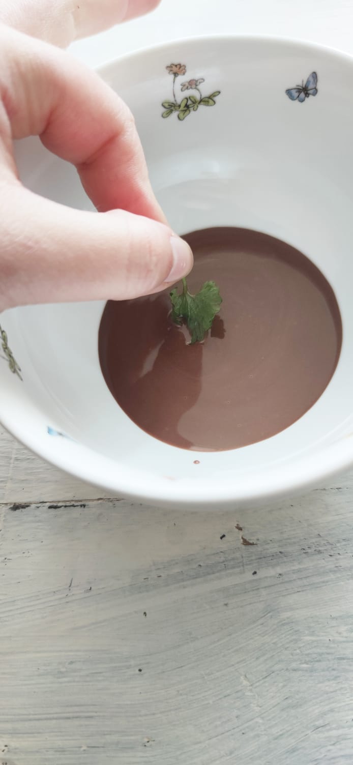 Bild zum Schritt 5 für das Bastel- und DIY-Abenteuer für Kinder: 'Sobald die Schokoladen-Konfitüre  flüssig ist schneidet ihr die Tüte...'