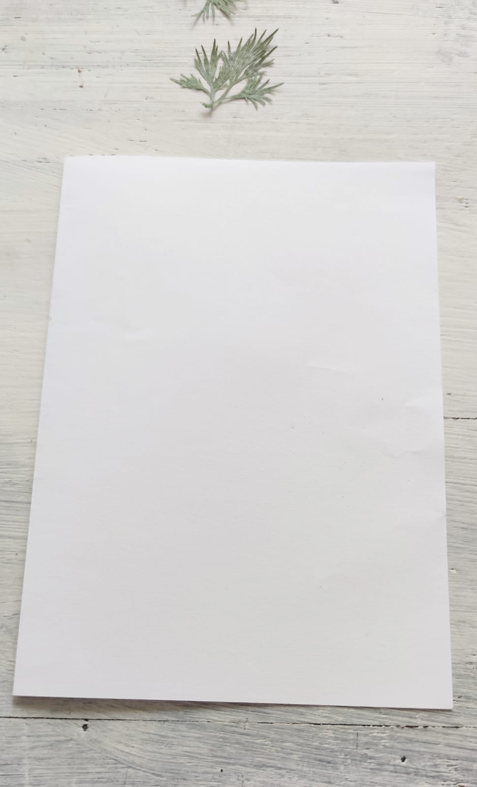 Bild zum Schritt 2 für die Kinder-Beschäftigung: 'Als erstes faltet ihr euer Blatt Papier in der Mitte.'