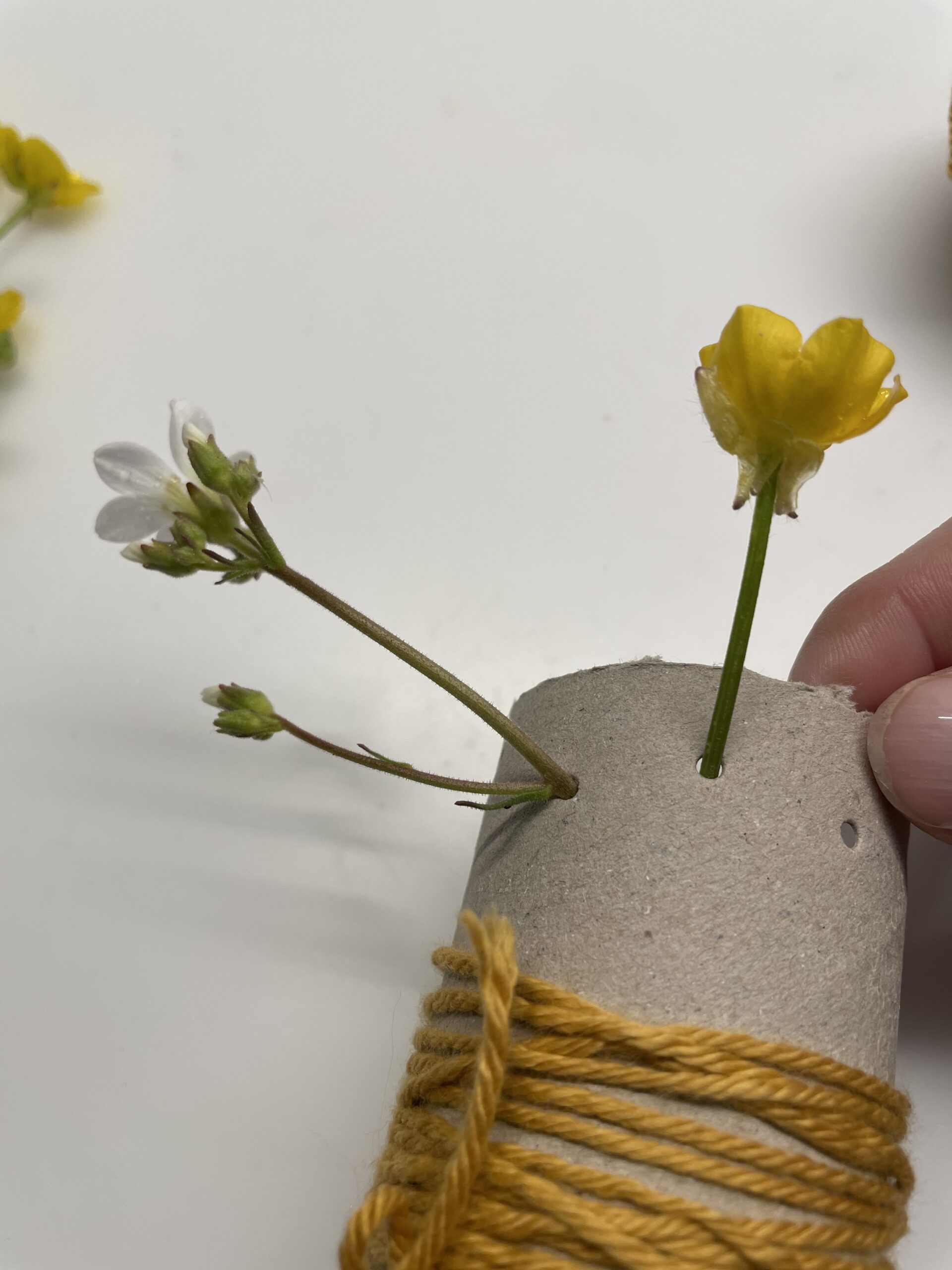 Bild zum Schritt 9 für das Bastel- und DIY-Abenteuer für Kinder: 'Danach steckt ihr die Blumen in die Löcher. Schiebt dabei...'