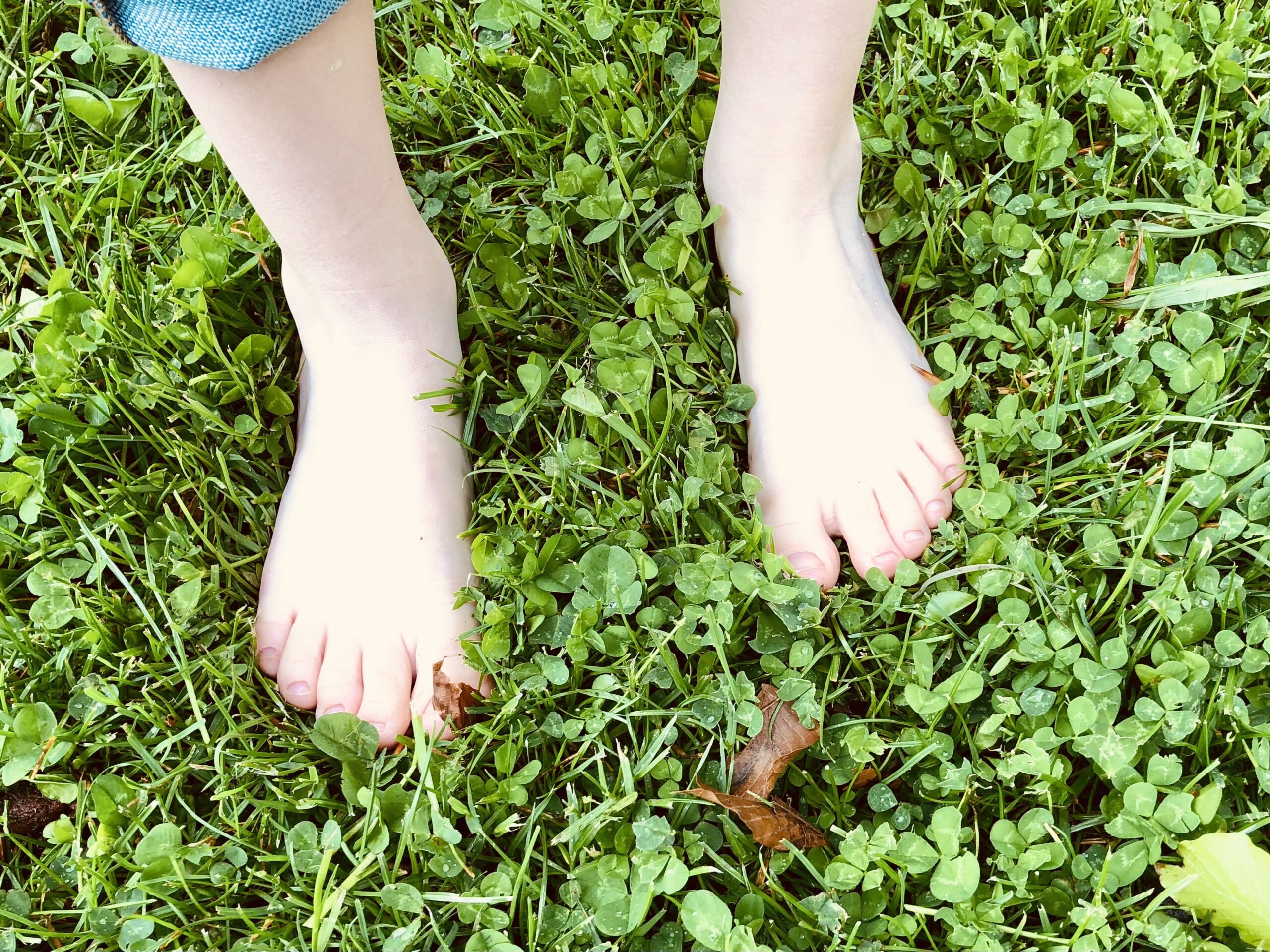 Bild zum Schritt 4 für das Bastel- und DIY-Abenteuer für Kinder: 'Wie fühlt sich das Gras an?   Tipp: Geht...'