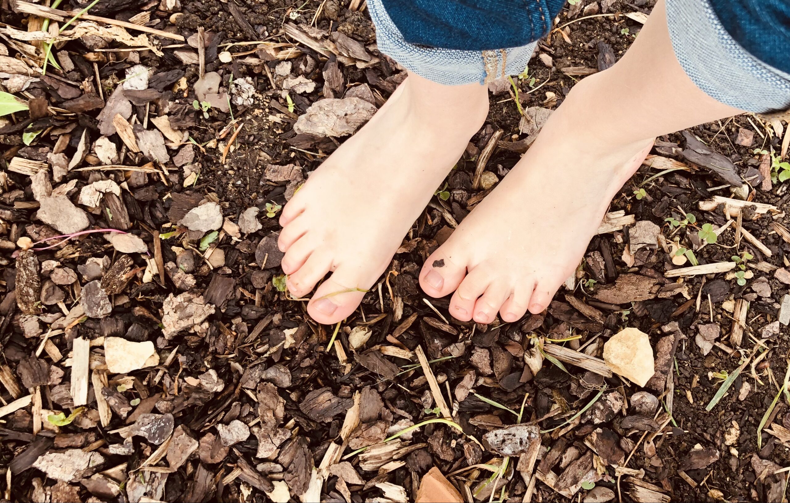 Bild zum Schritt 7 für das Bastel- und DIY-Abenteuer für Kinder: 'Wie fühlt sich der Rindenmulch im Blumenbeet an?'