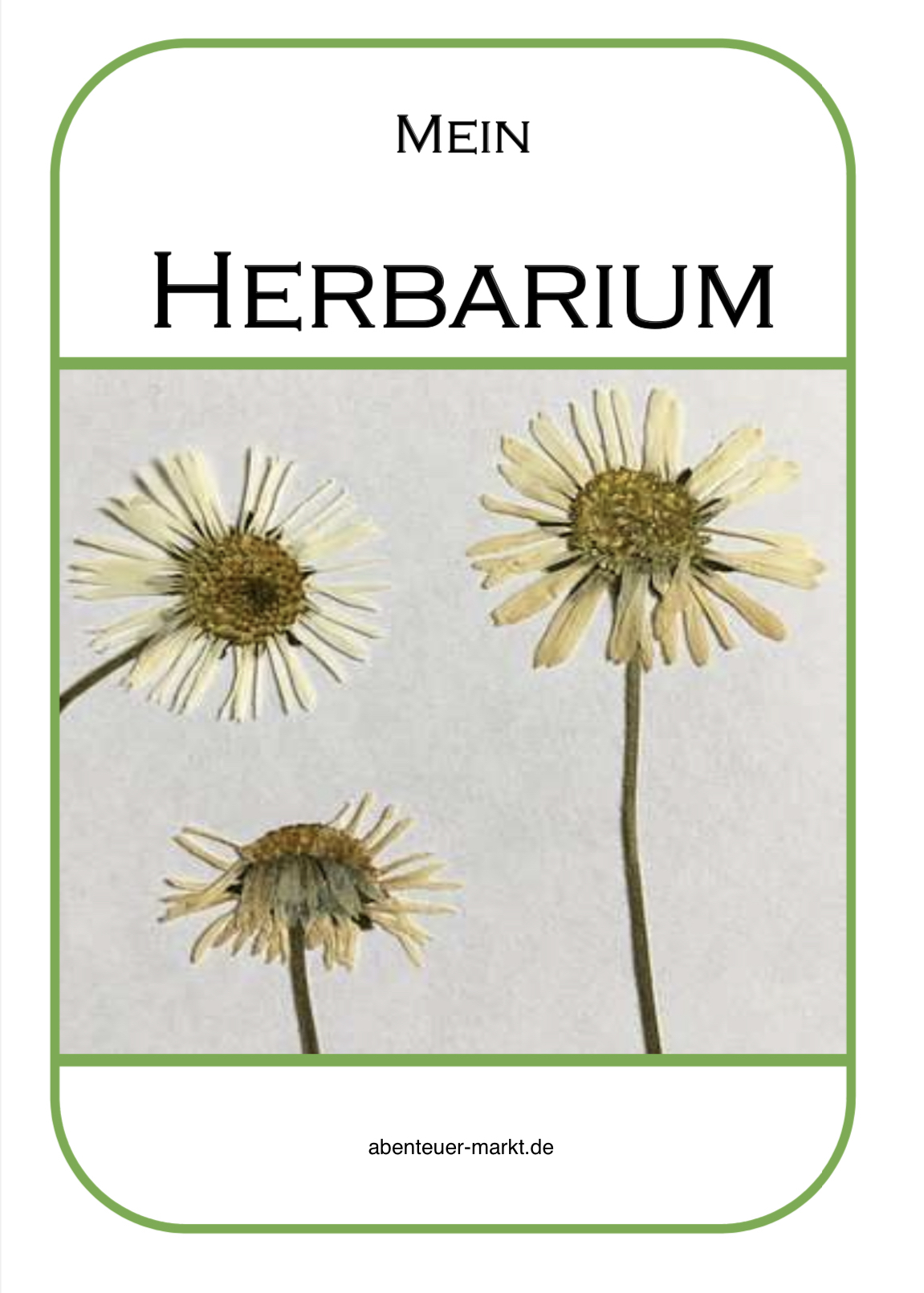 Bild zum Schritt 25 für das Bastel- und DIY-Abenteuer für Kinder: 'Gestaltet euch ein Herbarium mit Blumen, wie z.B. Gänseblümchen, Rotklee,...'