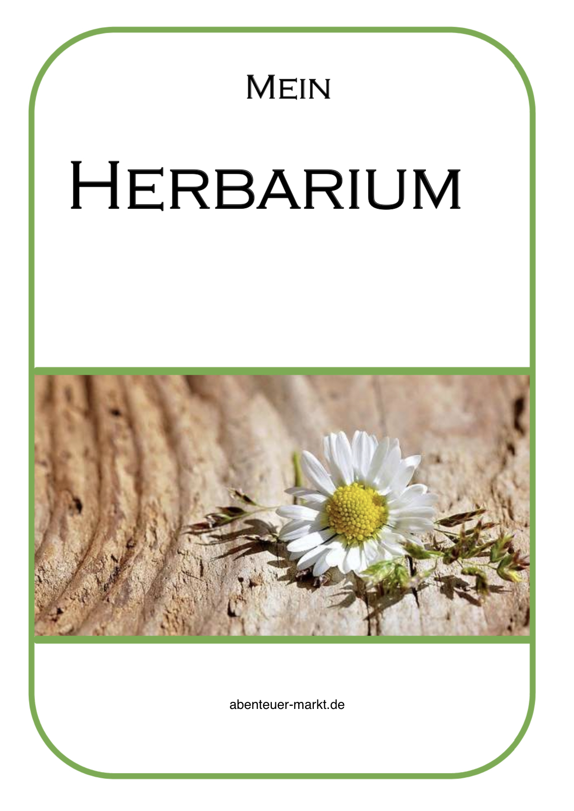 2. Bild zum Schritt 25 für das Bastel- und DIY-Abenteuer für Kinder: 'Gestaltet euch ein Herbarium mit Blumen, wie z.B. Gänseblümchen, Rotklee,...'