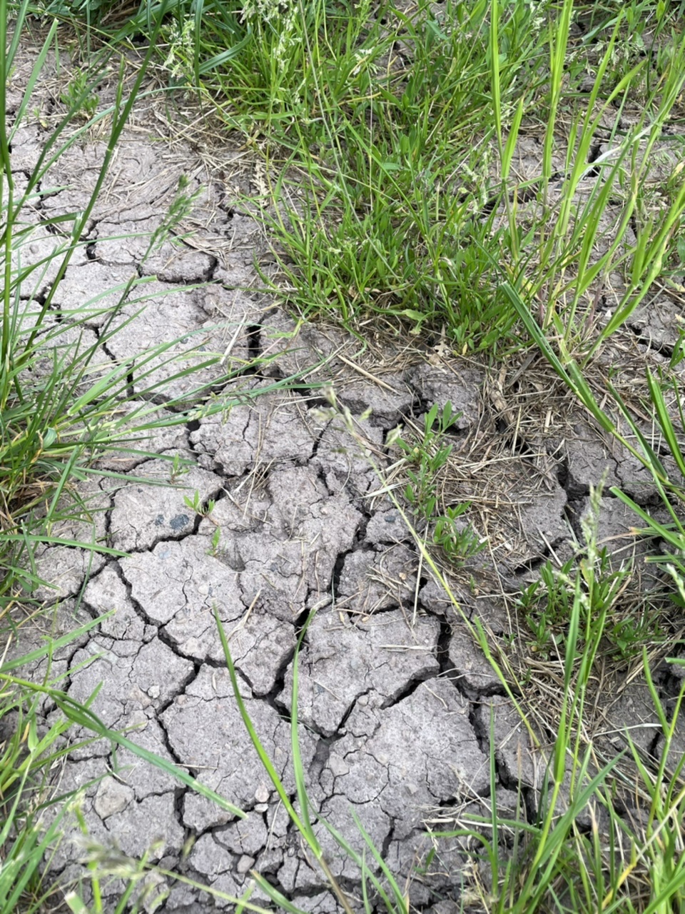 Bild zum Schritt 8 für das Bastel- und DIY-Abenteuer für Kinder: 'Für Kinder ist die Natur ein Erlebnis. Nehmt euch Zeit...'