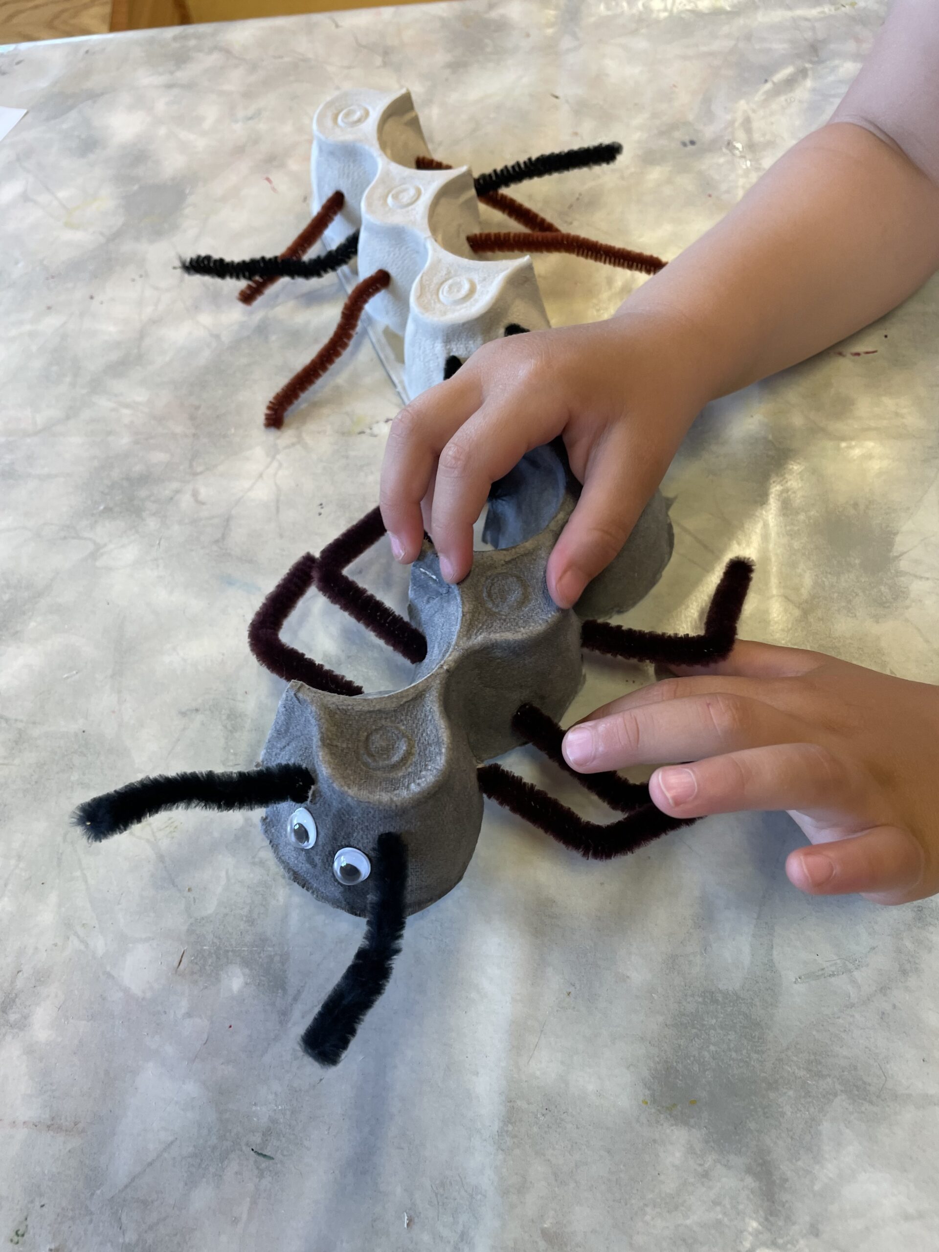 Ameisen Zum Spielen Schritt f r Schritt Anleitung F r Kinder Ameisen Zum Spielen Schritt f r Schritt Anleitung F r Kinder