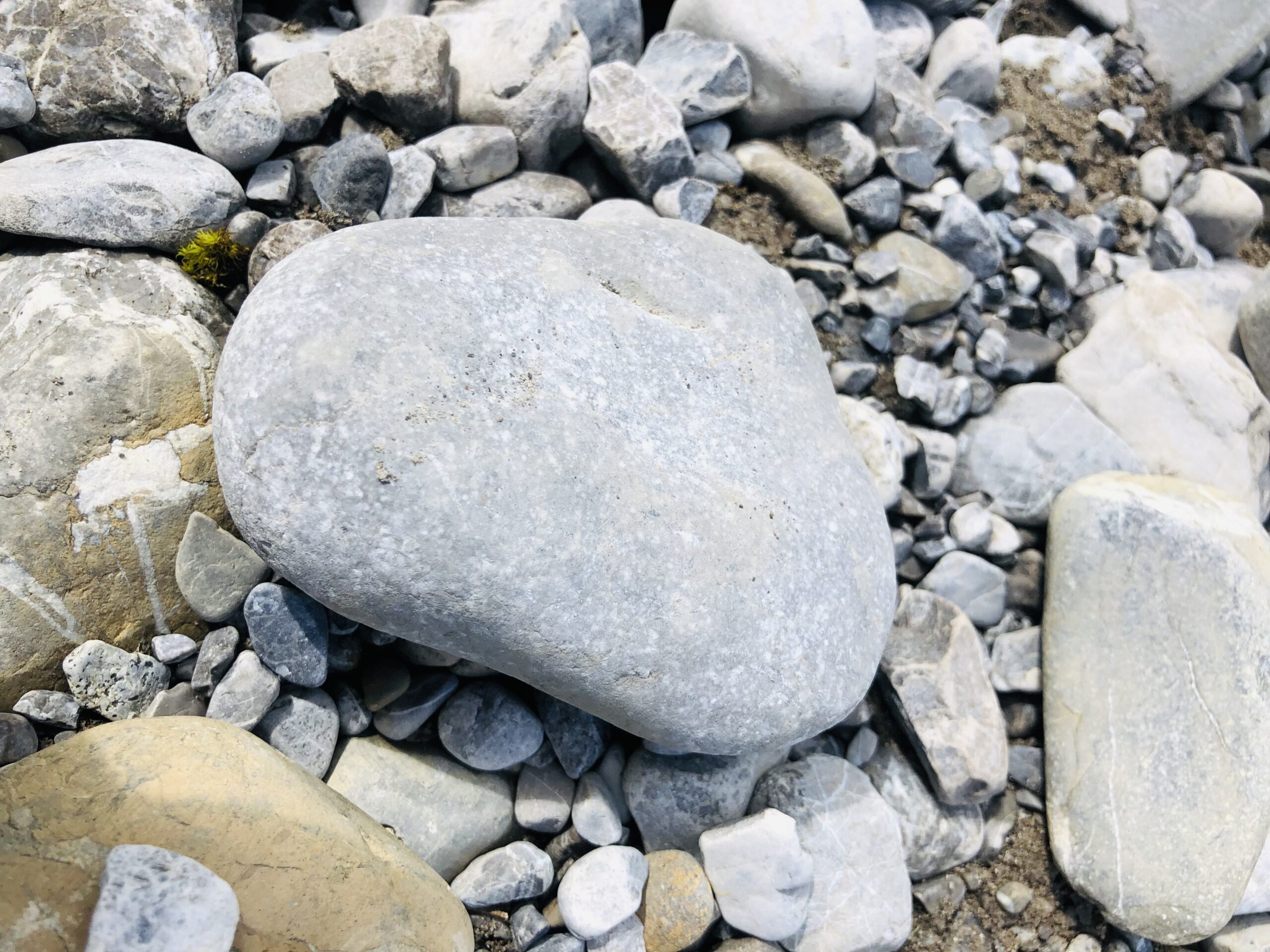 Bild zum Schritt 1 für das Bastel- und DIY-Abenteuer für Kinder: 'Sucht euch zuerst einen größeren Stein für den Kopf aus.'