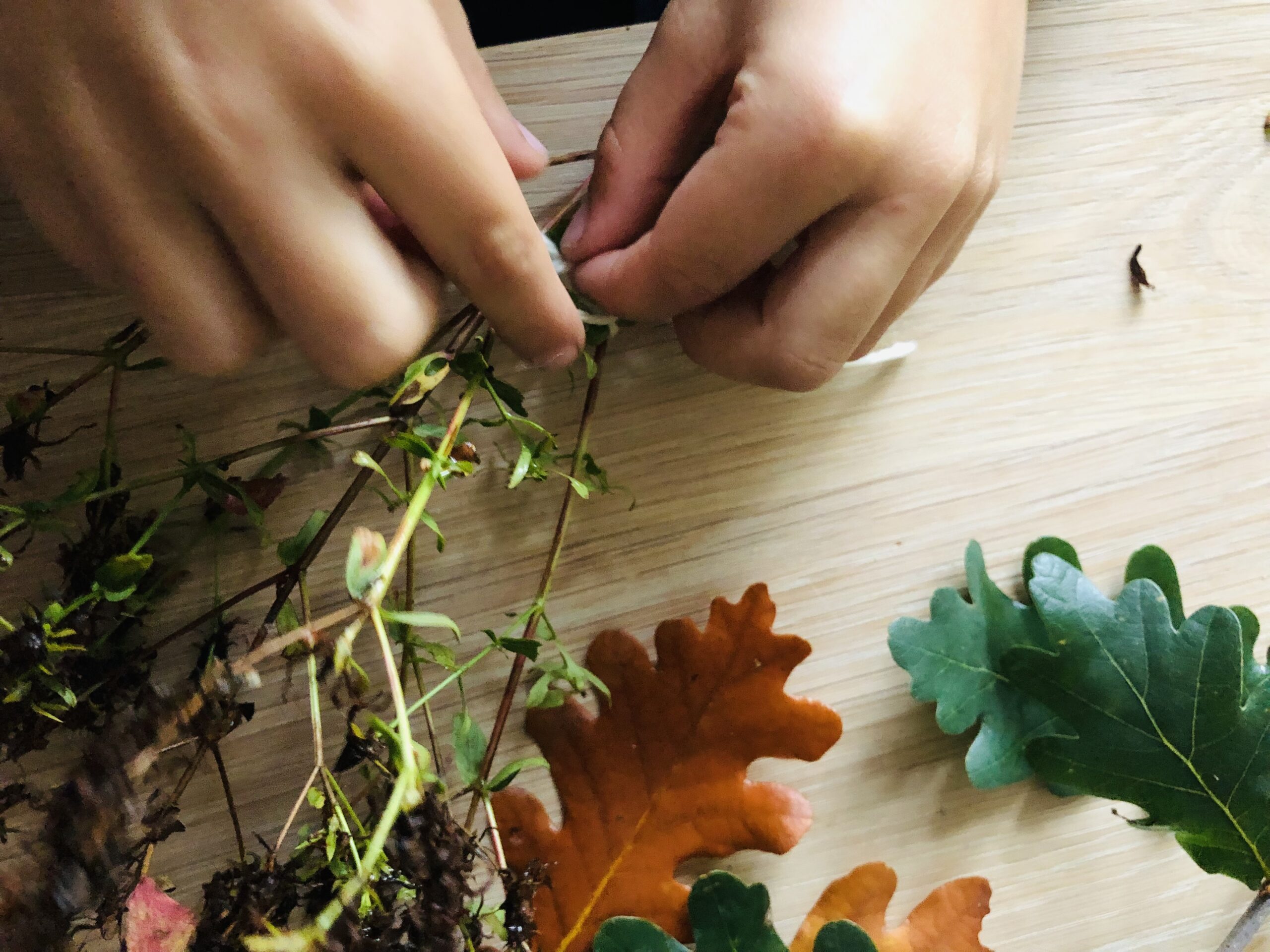 Bild zum Schritt 10 für das Bastel- und DIY-Abenteuer für Kinder: 'Verwendet neben kleinen Früchten und einzelnen Blättern auch größere Äste...'