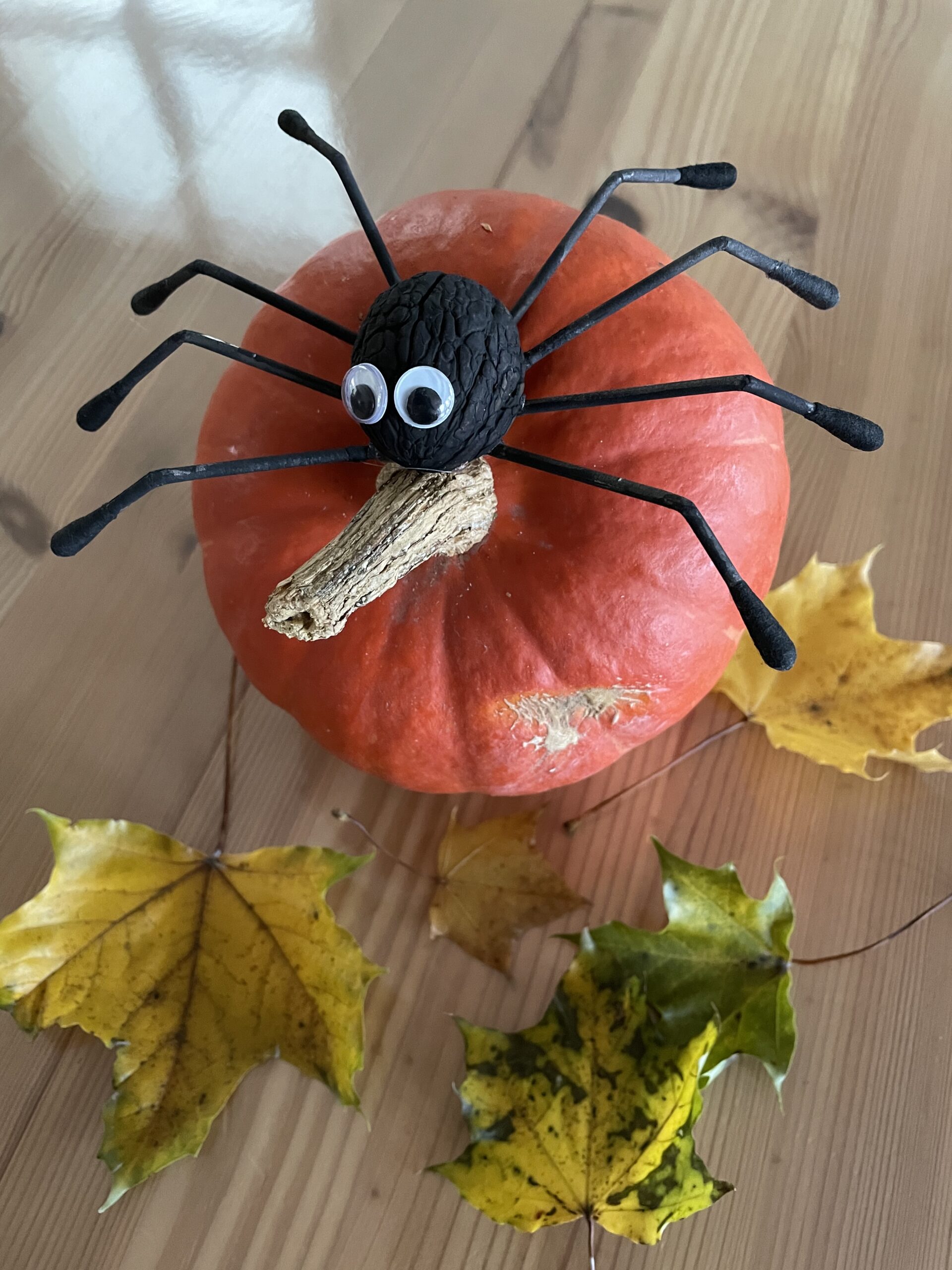 Bild zum Schritt 17 für das Bastel- und DIY-Abenteuer für Kinder: 'Für Halloween ein wirklich toller Hingucker.'