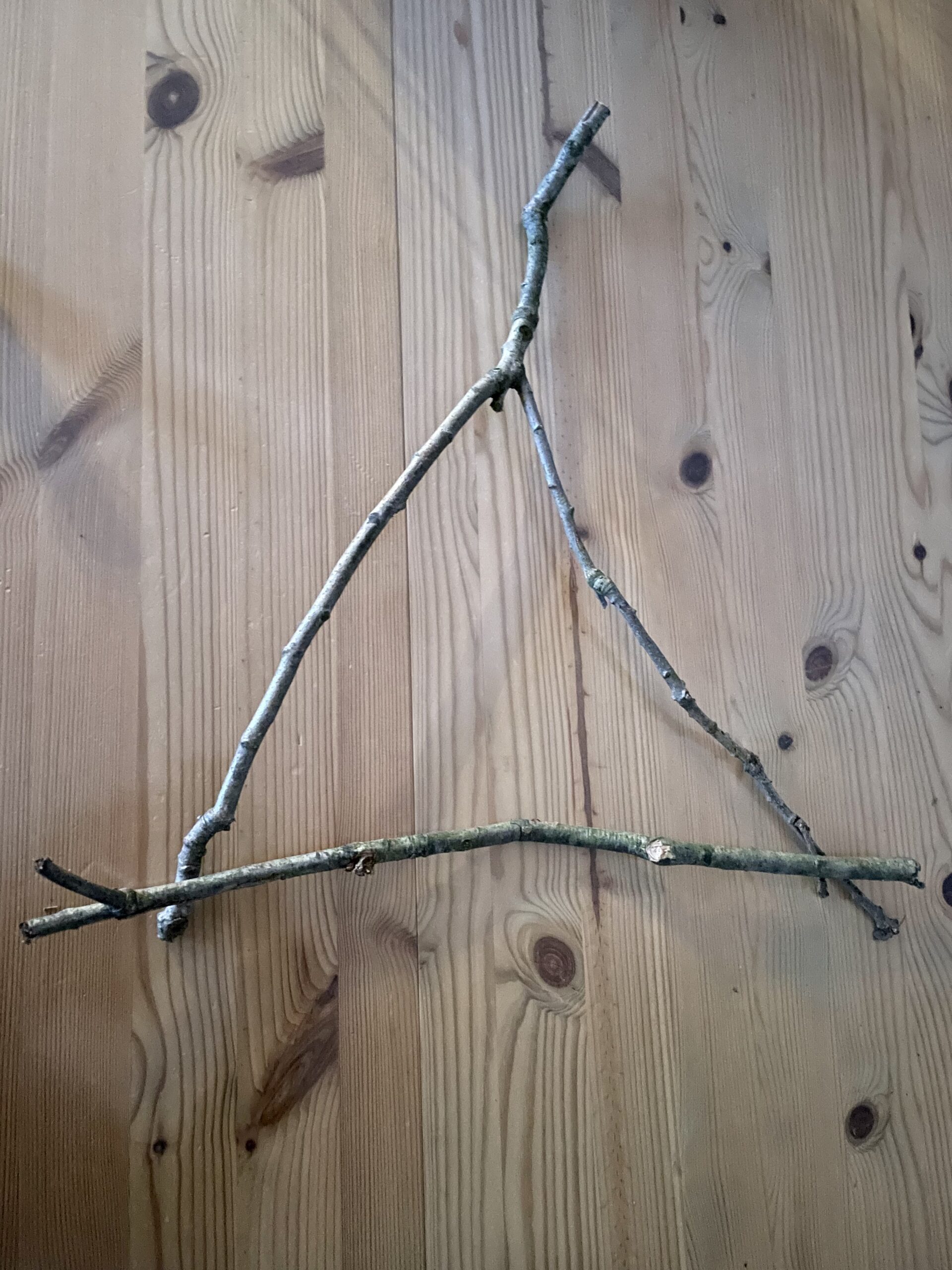 Bild zum Schritt 2 für das Bastel- und DIY-Abenteuer für Kinder: 'Dann legt ihr den einzelnen Zweig quer über die Astgabel,...'