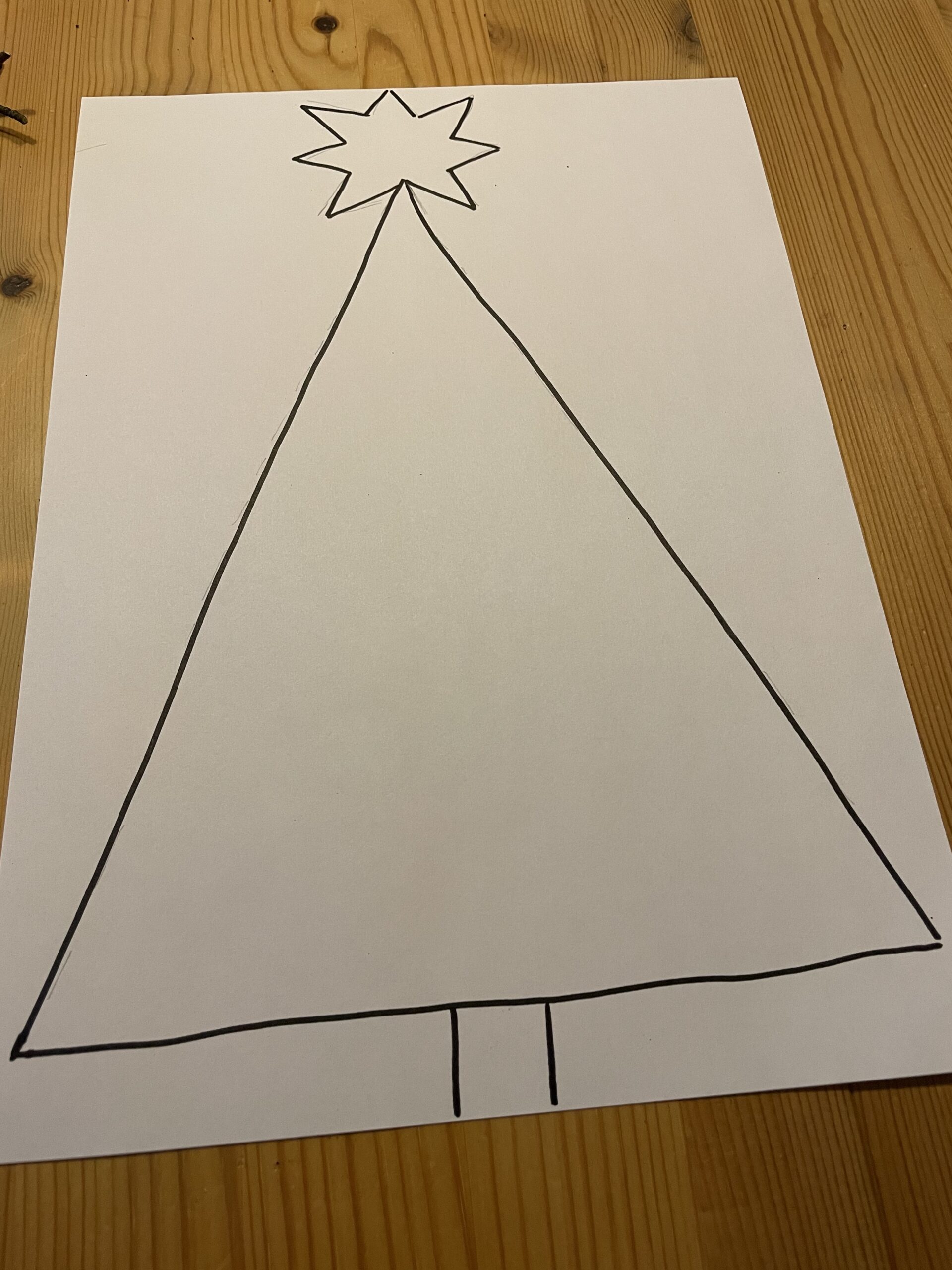 Bild zum Schritt 6 für das Bastel- und DIY-Abenteuer für Kinder: 'Malt euch nun einen möglichst ähnlichen Tannenbaum auf das Blatt.'