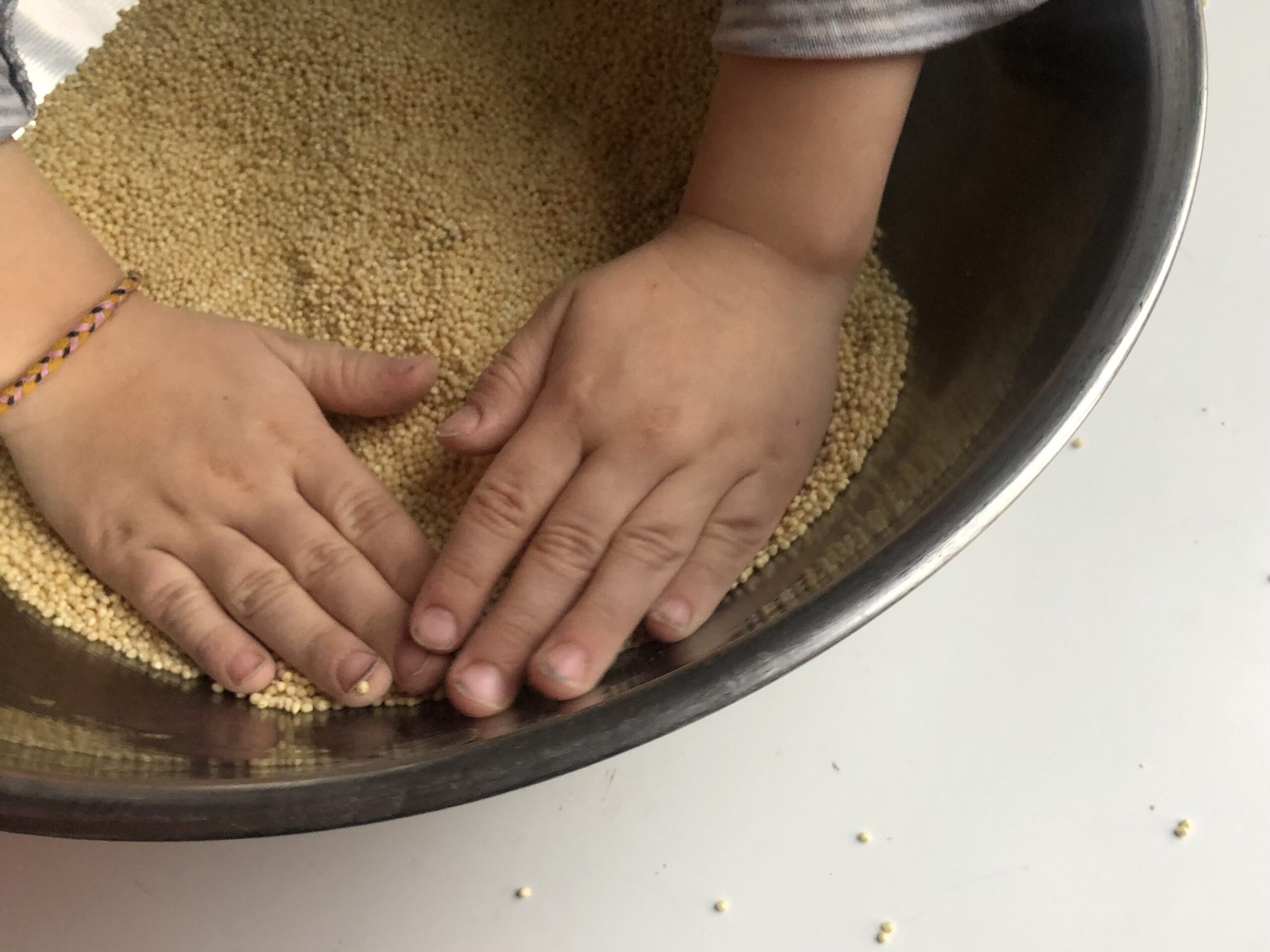 Bild zum Schritt 3 für das Bastel- und DIY-Abenteuer für Kinder: 'Jetzt versteckt ihr zuerst die Ausstecher.'