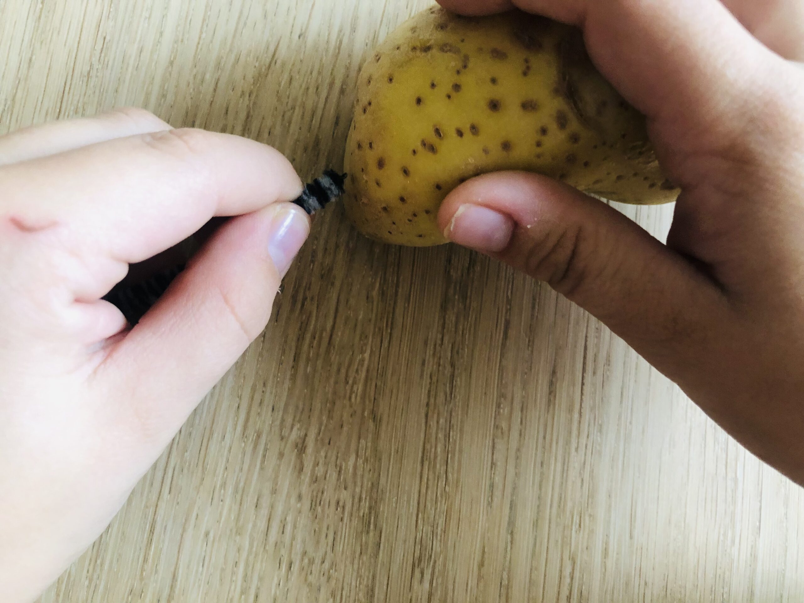 Bild zum Schritt 2 für das Bastel- und DIY-Abenteuer für Kinder: 'Schaut euch eure Kartoffel an und entscheidet welche Seite vorne...'