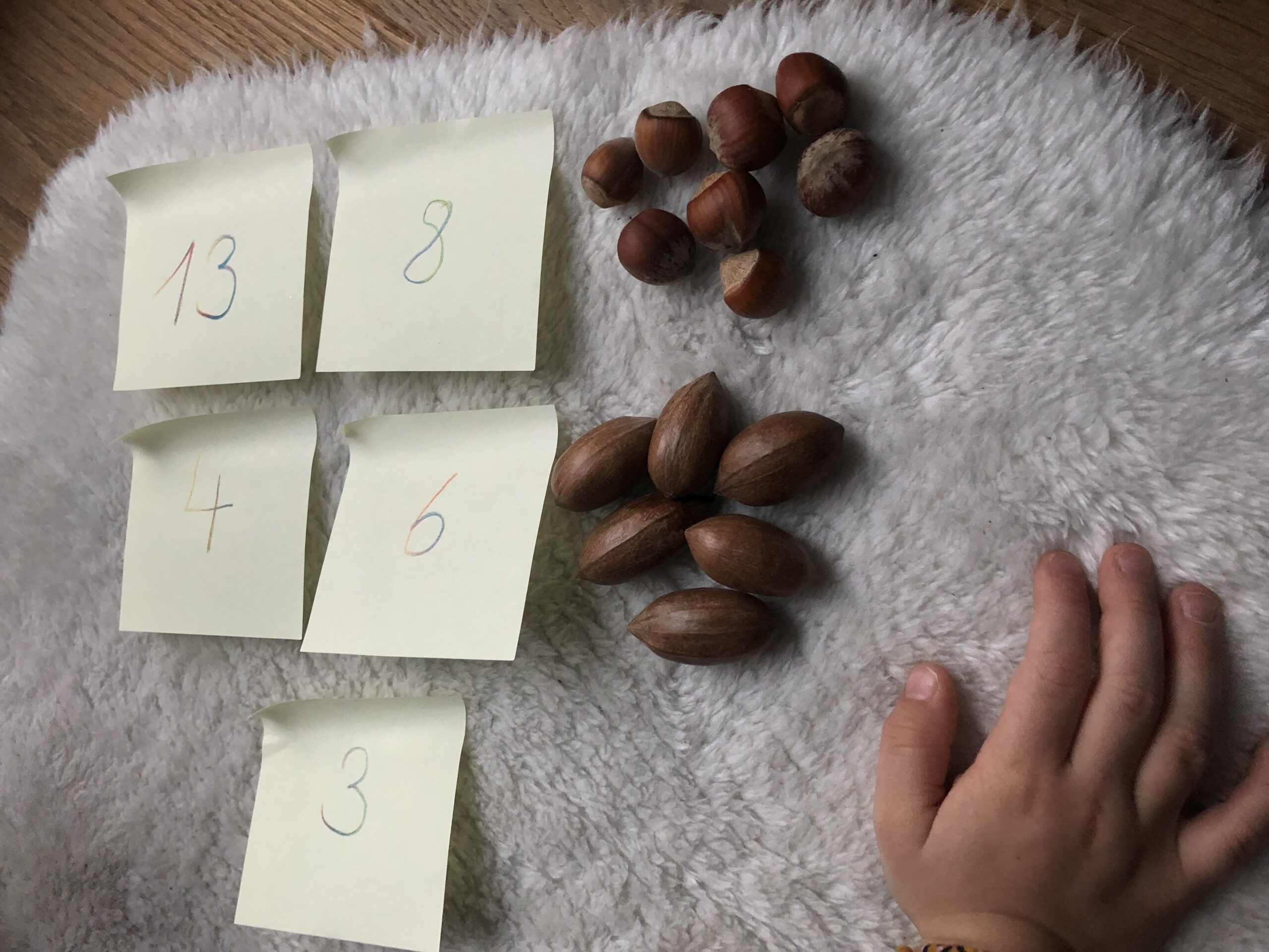 Bild zum Schritt 6 für das Bastel- und DIY-Abenteuer für Kinder: 'Wie viele Nüsse sind von den einzelnen Sorten vorhanden? ...'