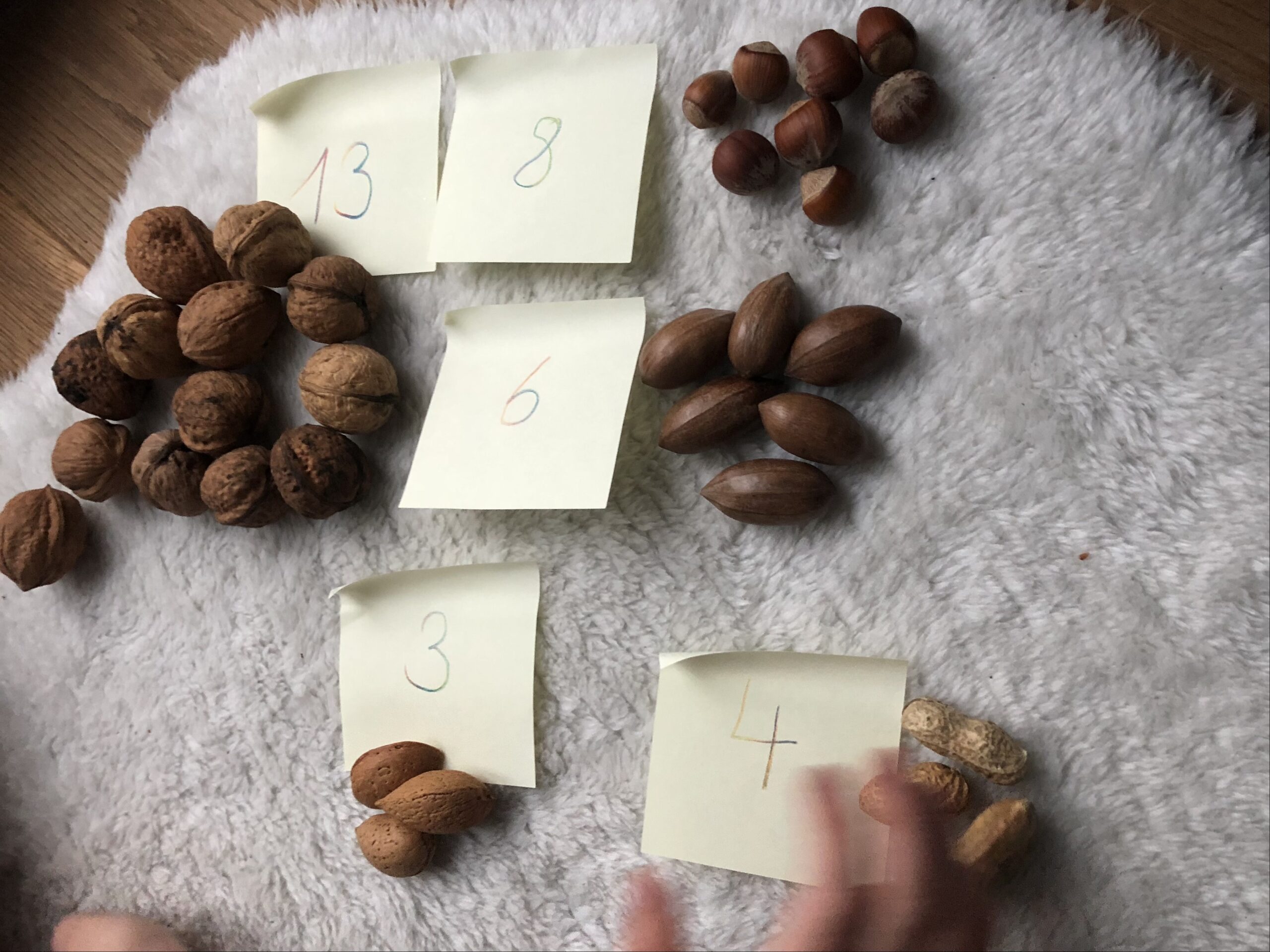 Bild zum Schritt 7 für das Bastel- und DIY-Abenteuer für Kinder: 'Lasst die Kinder die Nüsse den Zahlen zuordnen.  ...'