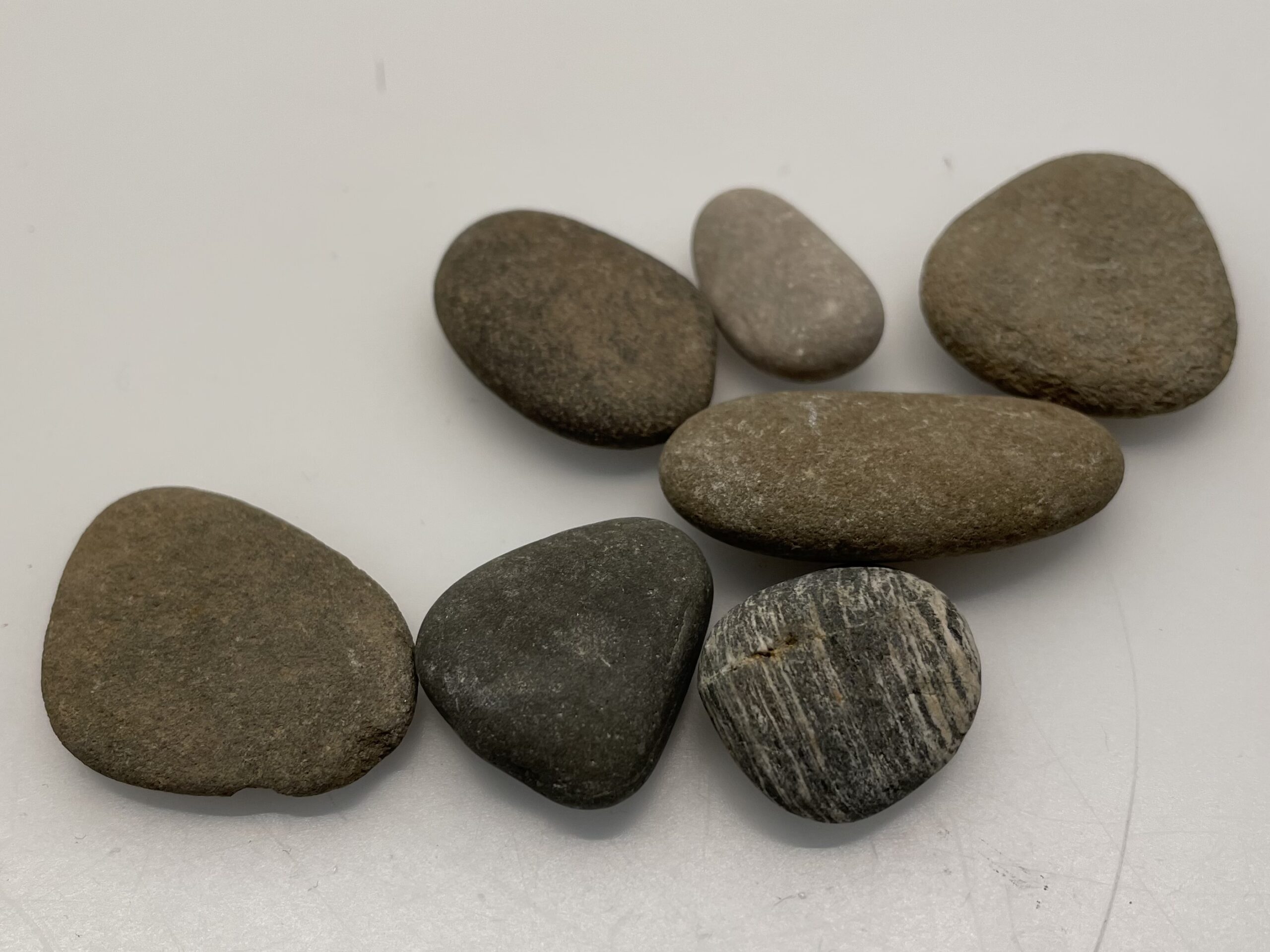 Bild zum Schritt 2 für das Bastel- und DIY-Abenteuer für Kinder: 'Sammelt dann Steine in länglicher abgerundeter Form, wascht diese und...'