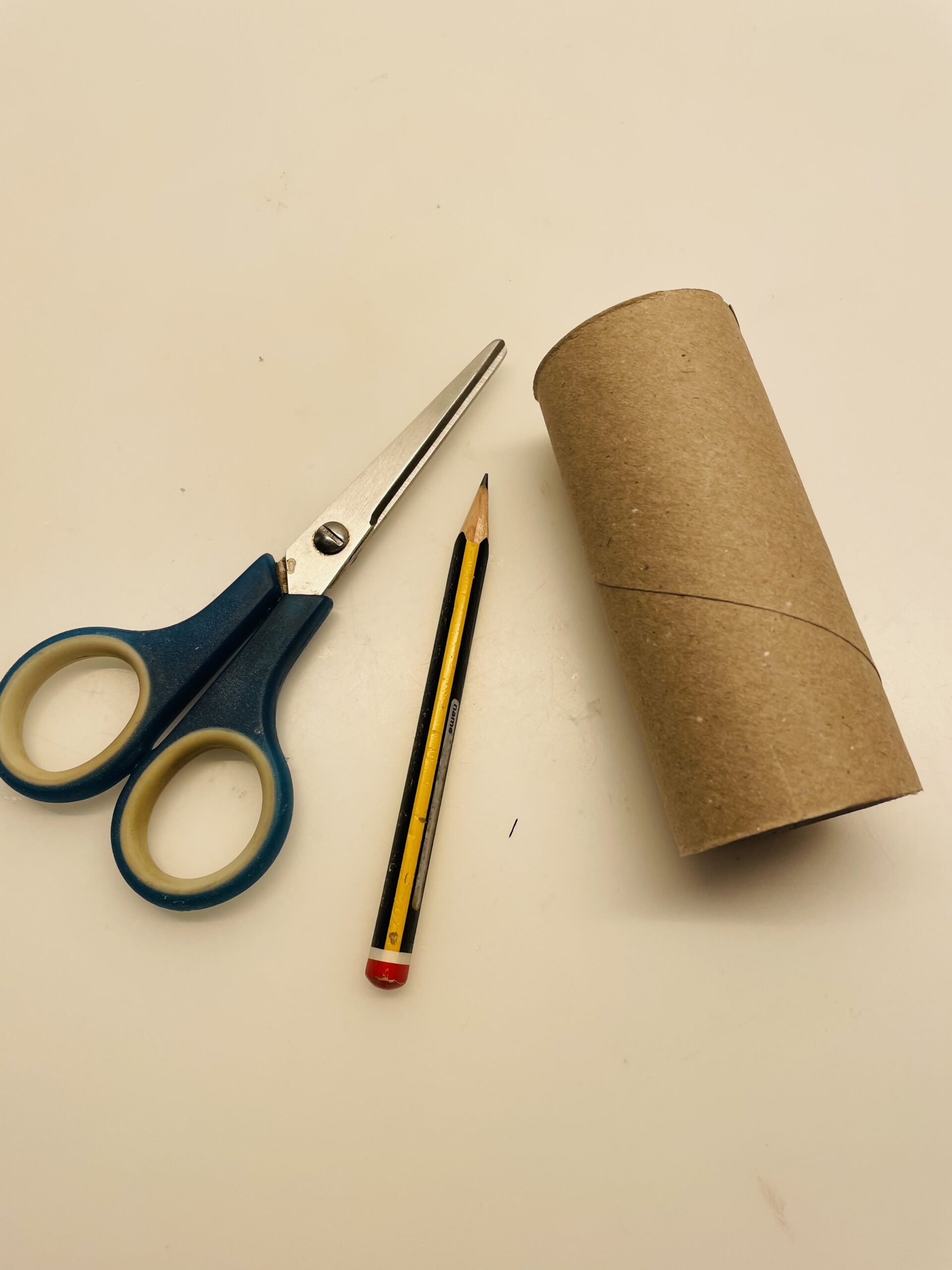 Bild zum Schritt 1 für das Bastel- und DIY-Abenteuer für Kinder: 'Legt euch zuerst eine Papprolle (Klorolle) bereit.'