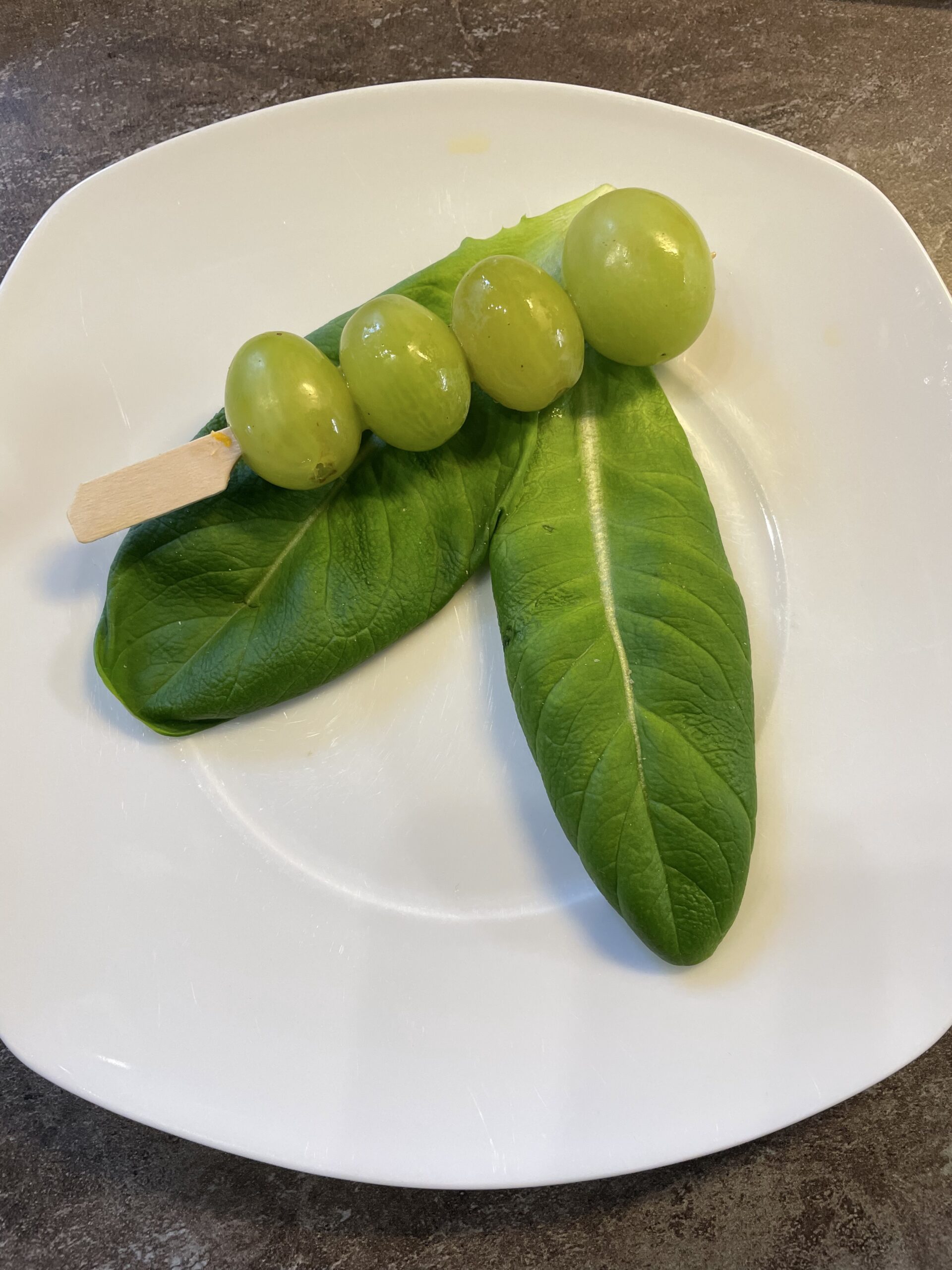 Bild zum Schritt 4 für das Bastel- und DIY-Abenteuer für Kinder: 'Anschließend legt ihr den Traubenspieß (den Raupenkörper) auf das Salatblatt.'