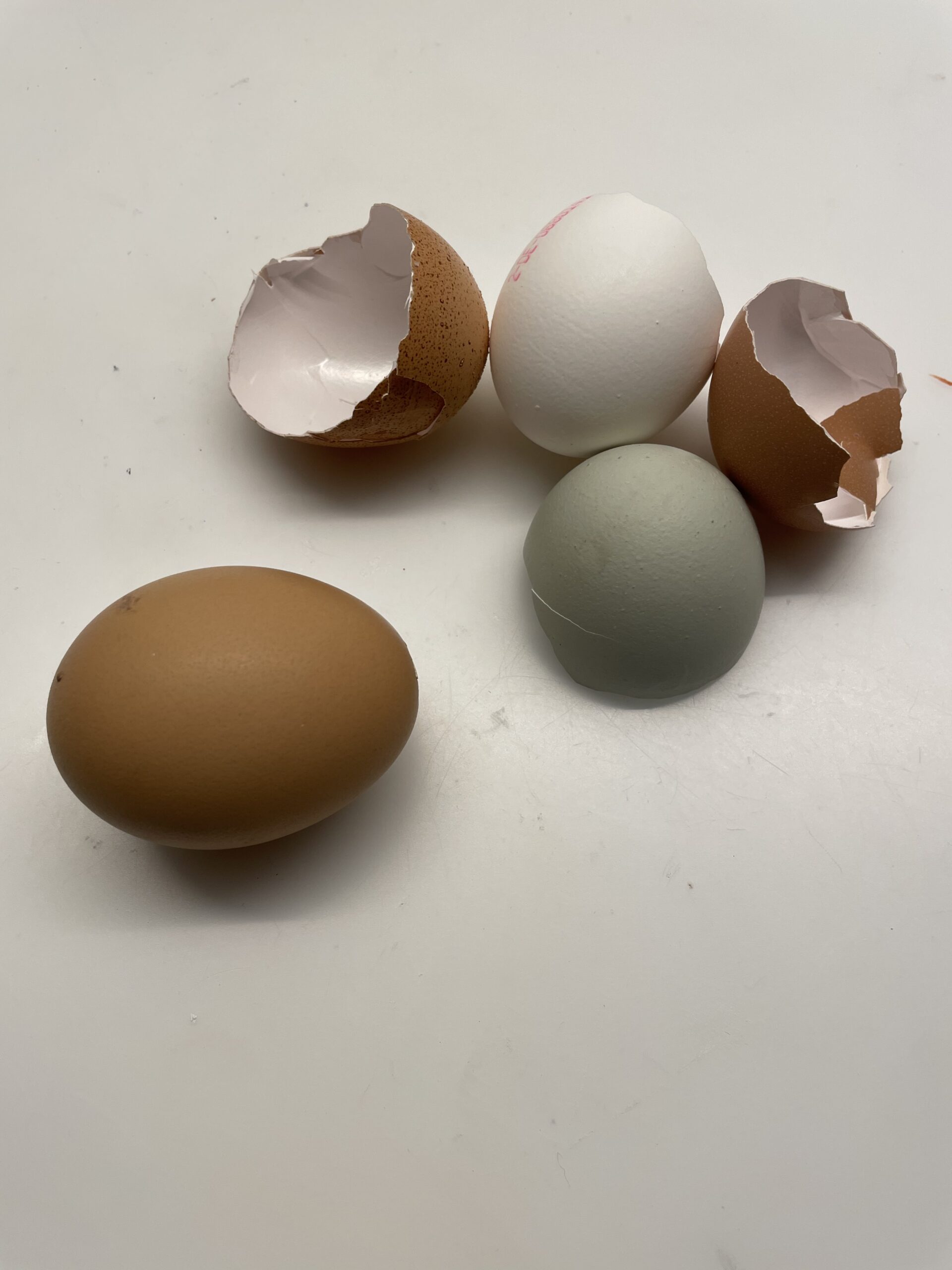 Bild zum Schritt 1 für das Bastel- und DIY-Abenteuer für Kinder: 'Wählt Eierschalen in verschiedenen Farbtönen und reinigt diese vorher. ...'