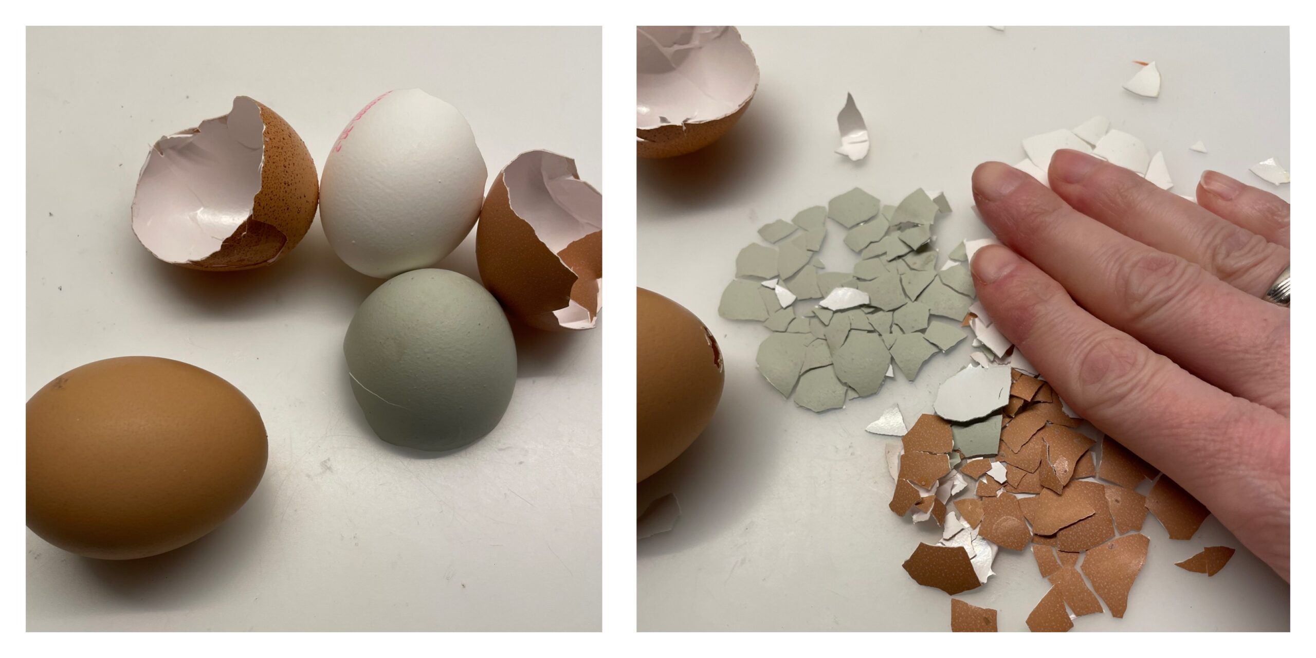 Bild zum Schritt 1 für die Kinder-Beschäftigung: 'Verwendet verschiedenfarbige Eierschalen, die ihr bereits Tage vorher schon sammelt...'