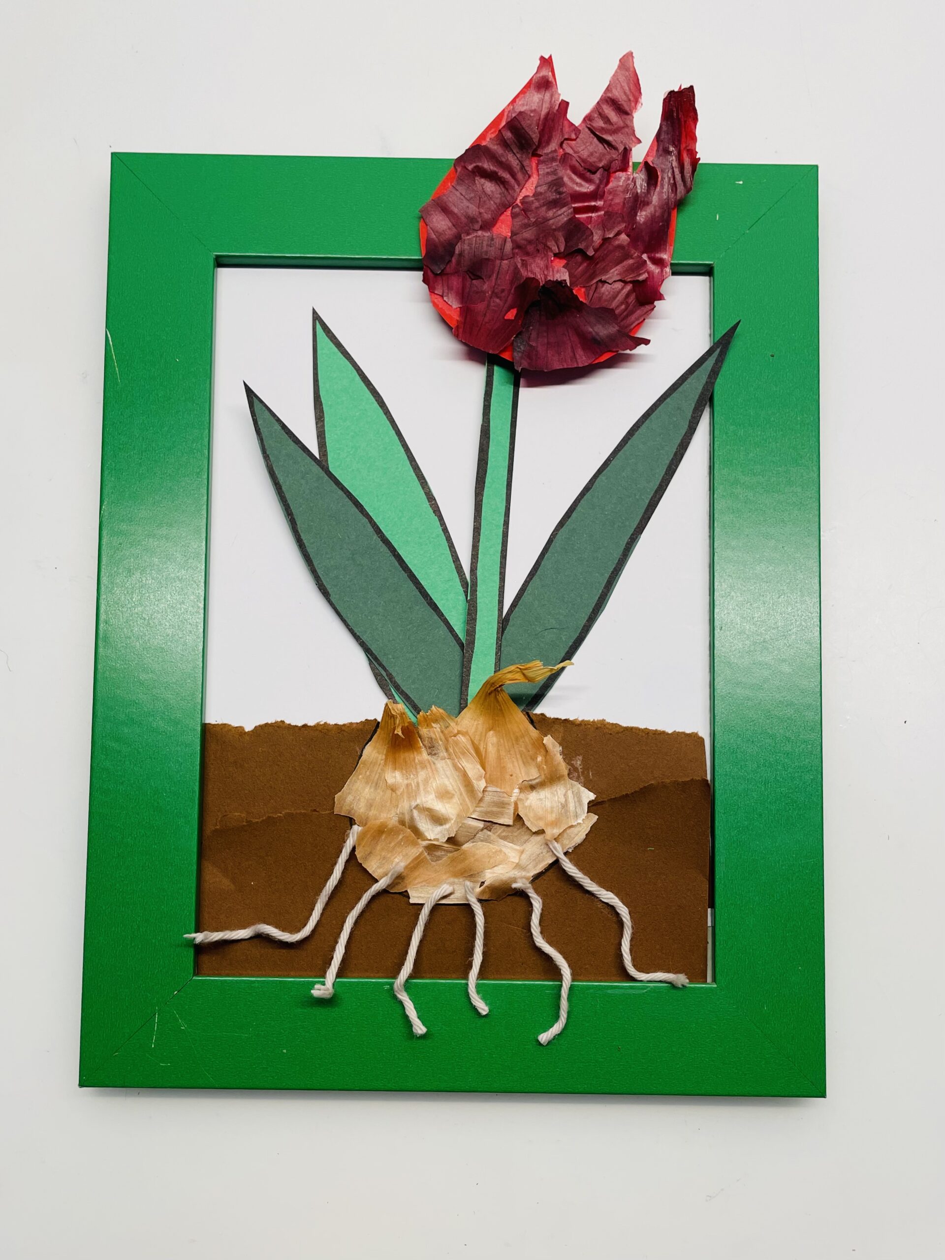Bild zum Schritt 14 für das Bastel- und DIY-Abenteuer für Kinder: 'Fertig ist deine Tulpe mit Zwiebelschalen.'