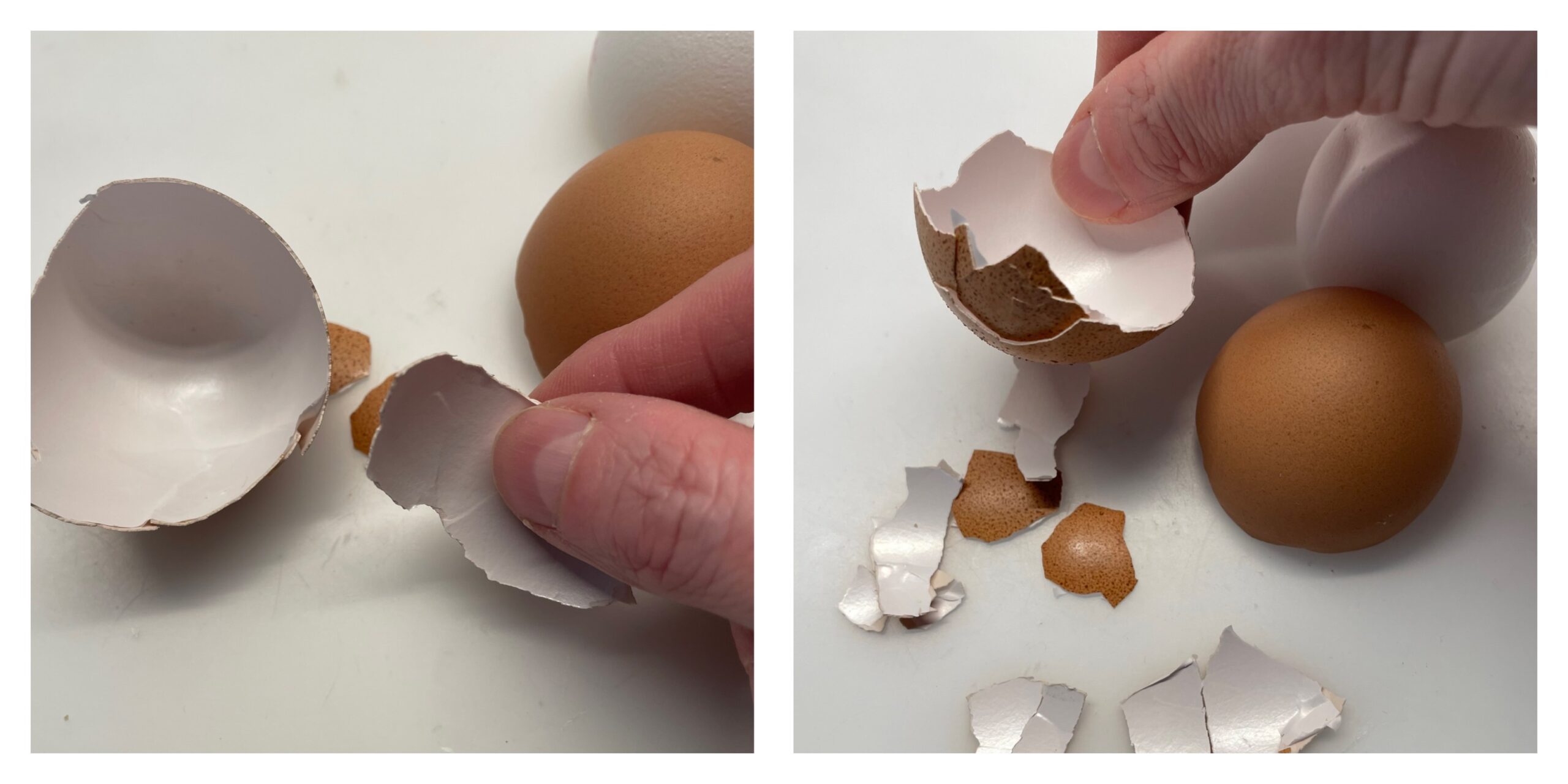 Bild zum Schritt 4 für das Bastel- und DIY-Abenteuer für Kinder: 'Nun holt ihr euch die Eierschalen und drückt diese in...'