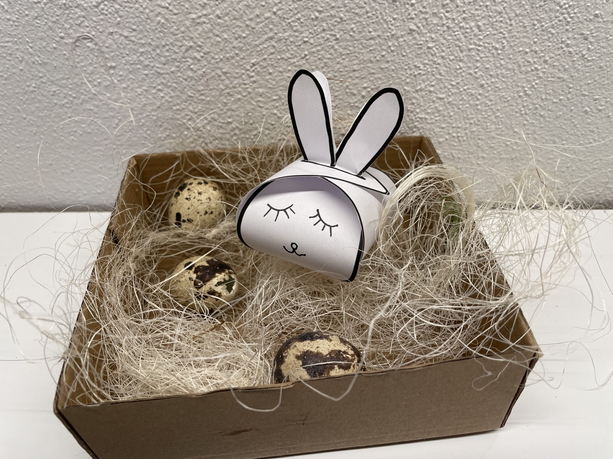 Bild zum Schritt 11 für das Bastel- und DIY-Abenteuer für Kinder: 'Oder ihr verwendet die Hasen-Geschenkbox für ein Ostergeschenk in einem...'