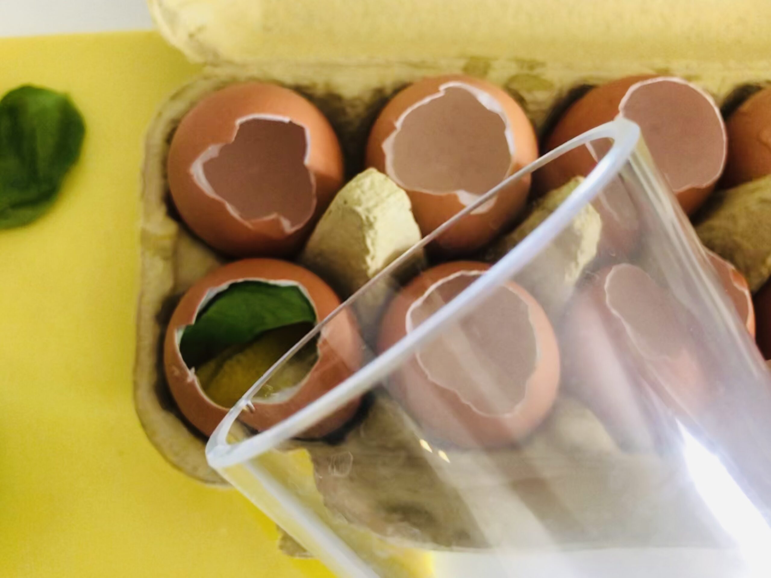 Bild zum Schritt 10 für das Bastel- und DIY-Abenteuer für Kinder: 'Danach füllt ihr die gefüllten Eierschalen mit Wasser auf.'