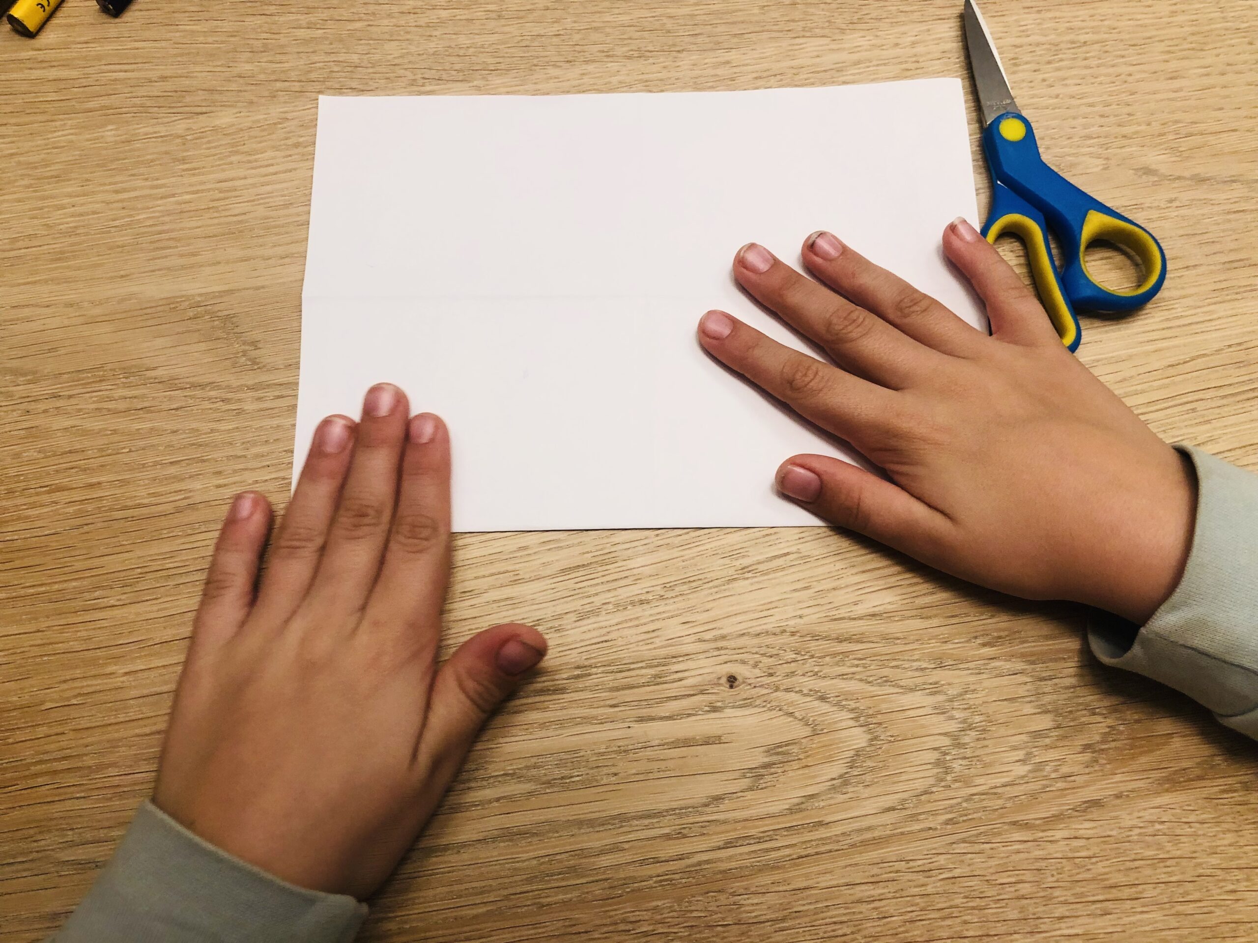 Bild zum Schritt 12 für das Bastel- und DIY-Abenteuer für Kinder: 'Jetzt faltet ihr das Papier wieder ganz auf und legt...'