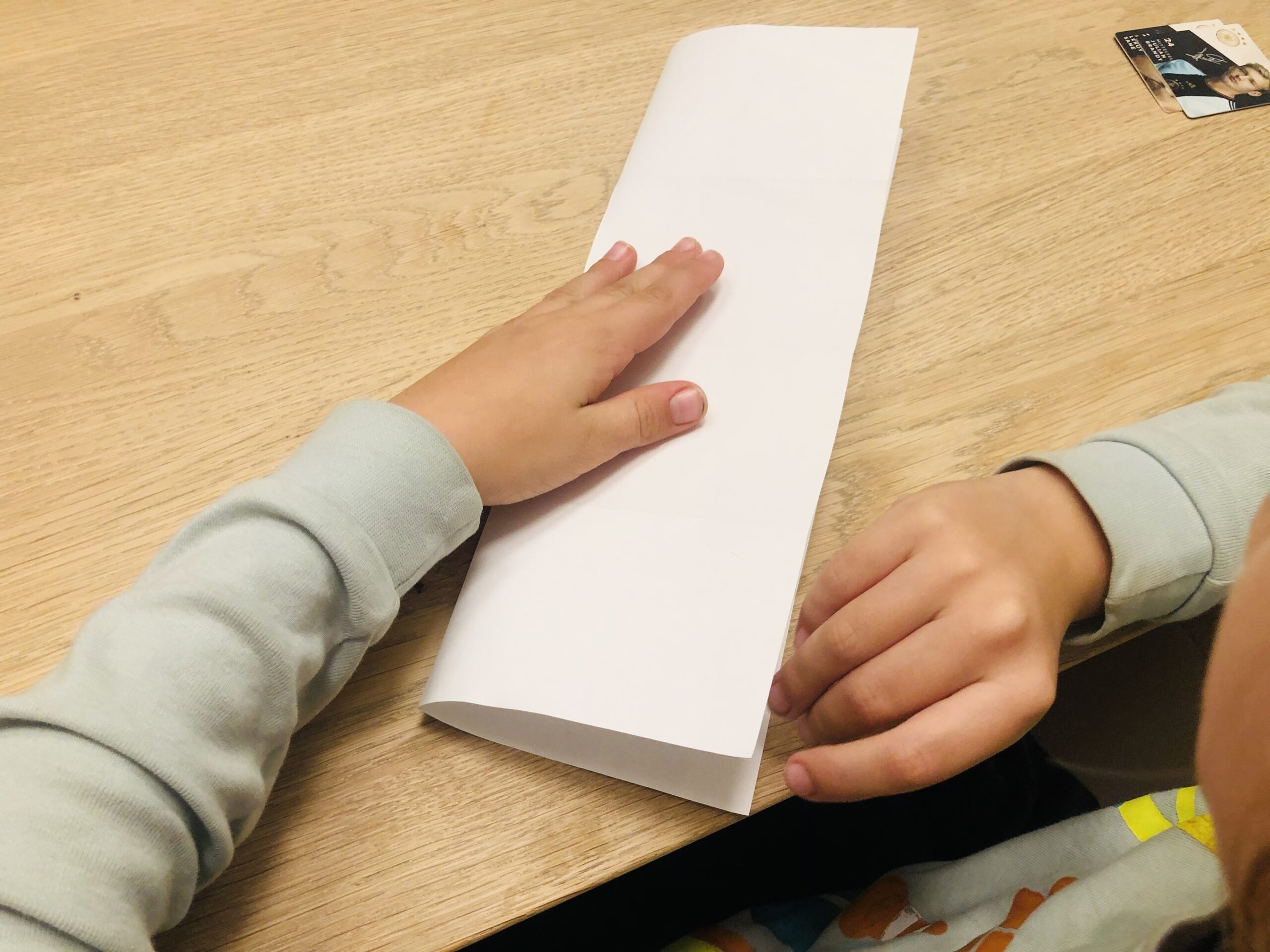 Bild zum Schritt 15 für das Bastel- und DIY-Abenteuer für Kinder: 'Faltet das Papier nun auseinander. Legt es hochkant vor euch...'