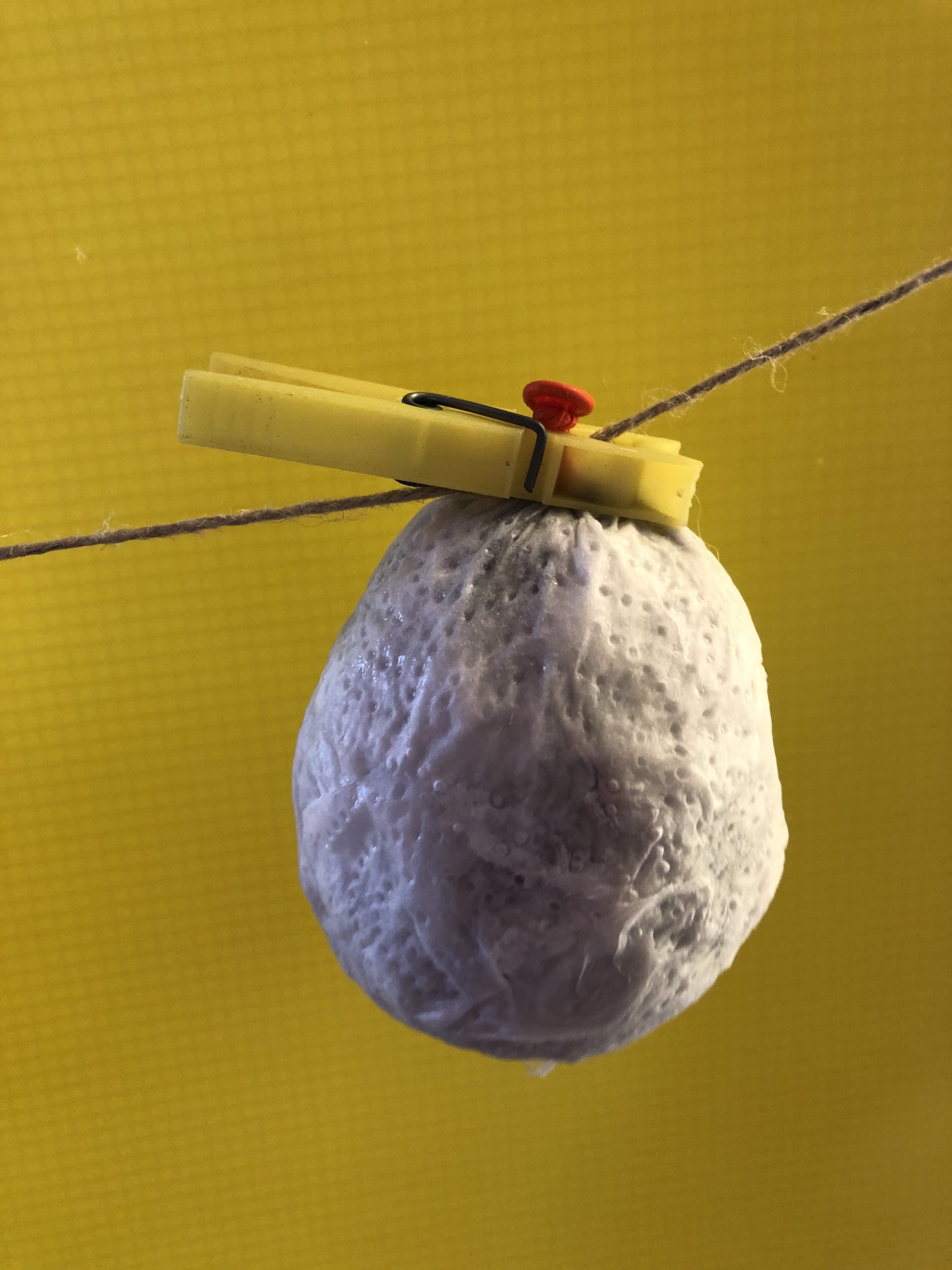 Bild zum Schritt 4 für das Bastel- und DIY-Abenteuer für Kinder: 'Den Ballon (am Knoten) mit einer Wäscheklammer zum Trocknen aufhängen....'