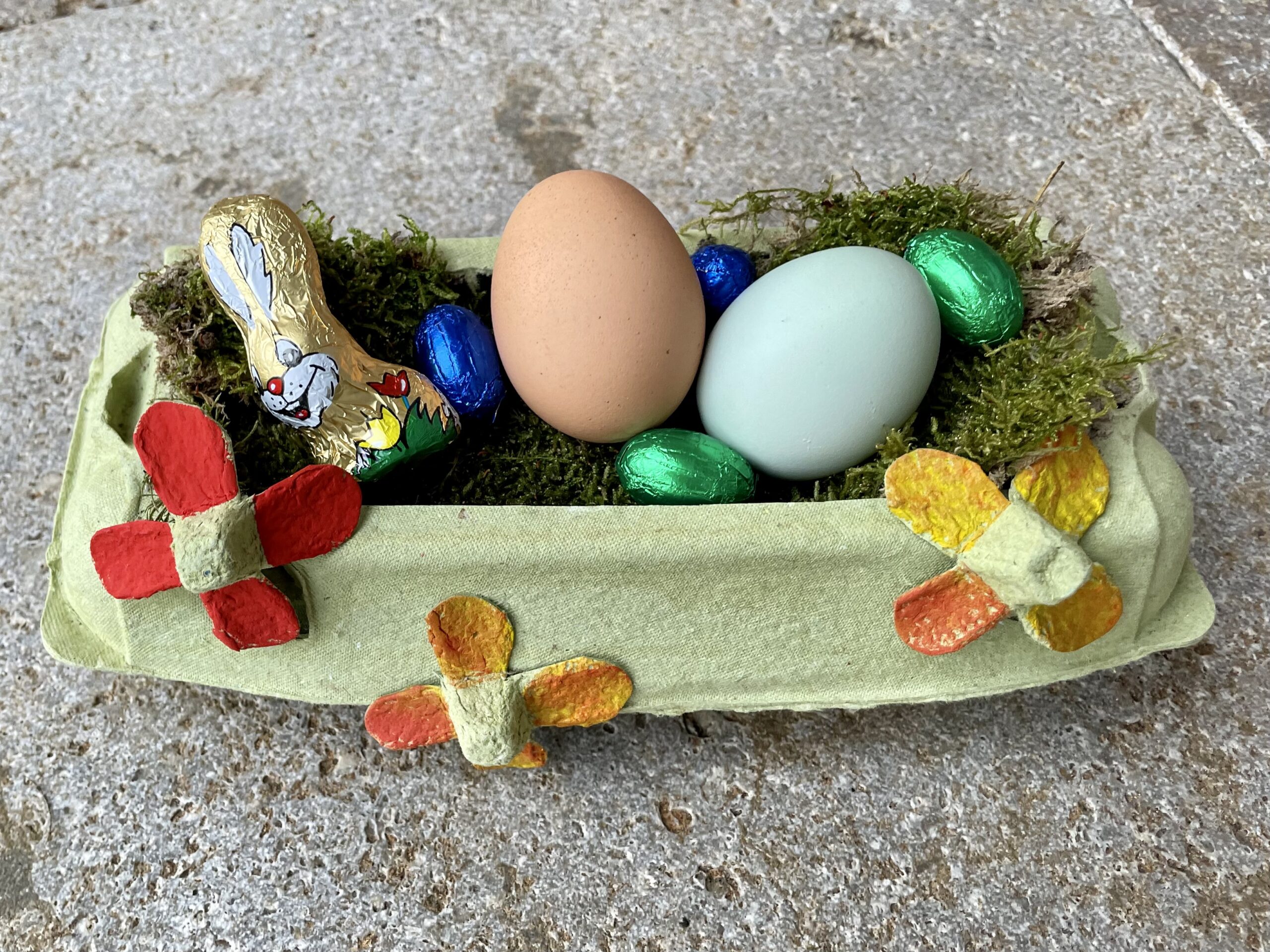 Bild zum Schritt 18 für das Bastel- und DIY-Abenteuer für Kinder: 'Legt euren Eierkarton mit etwas Moos aus. Fertig ist das...'