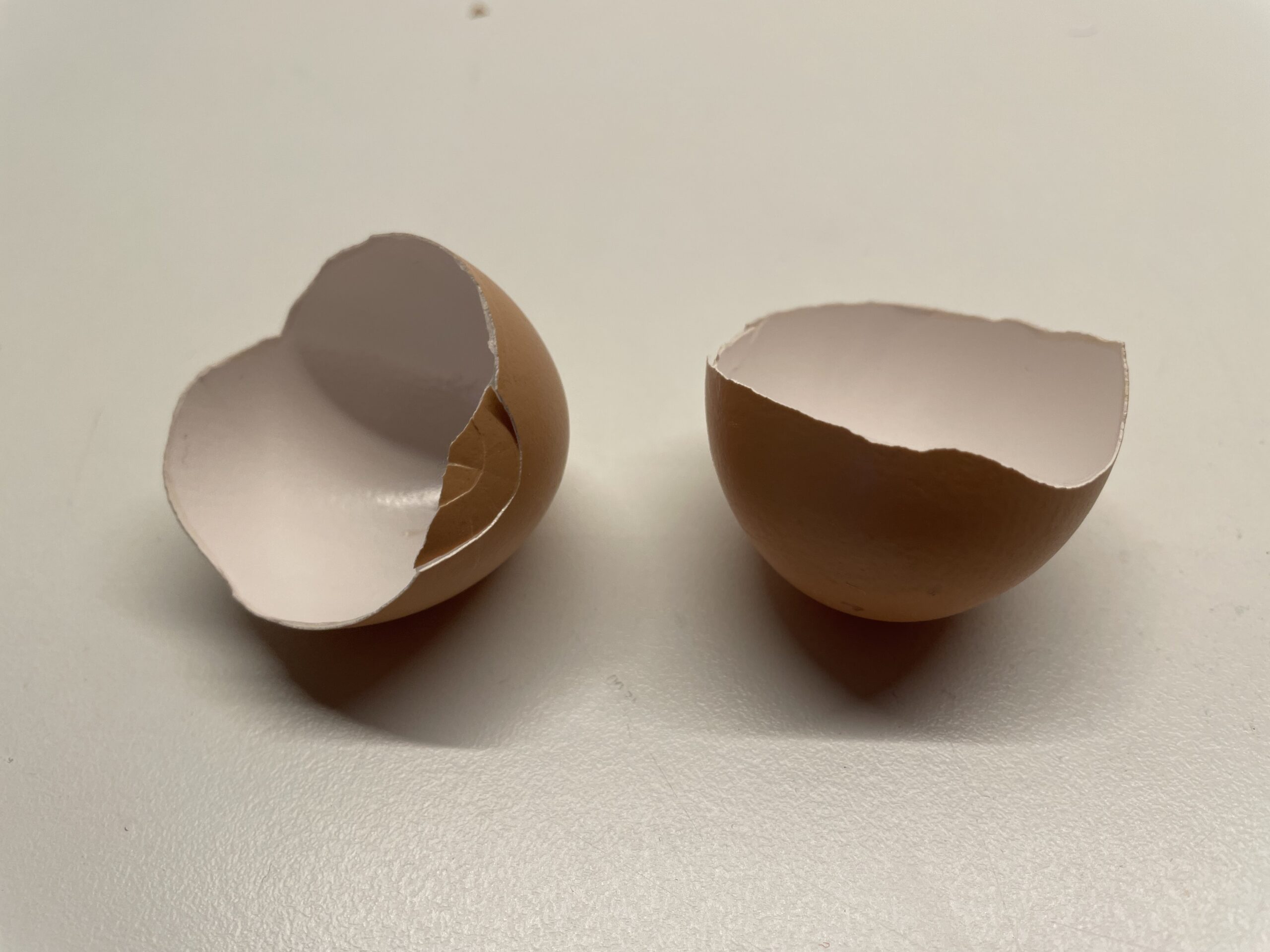 Bild zum Schritt 1 für das Bastel- und DIY-Abenteuer für Kinder: 'Zuerst wascht und trocknet ihr die zwei Hälften einer Eierschale.'
