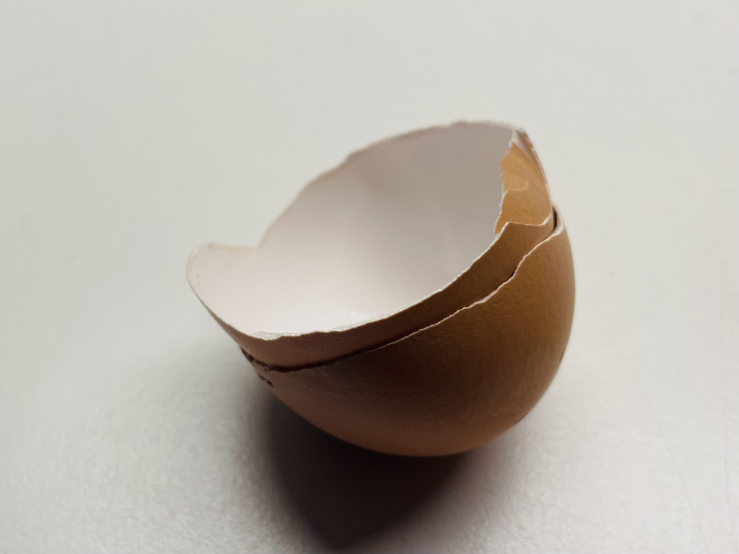 Bild zum Schritt 2 für das Bastel- und DIY-Abenteuer für Kinder: 'Danach steckt ihr die Eierschalen ineinander. So sind die Eierschalen...'